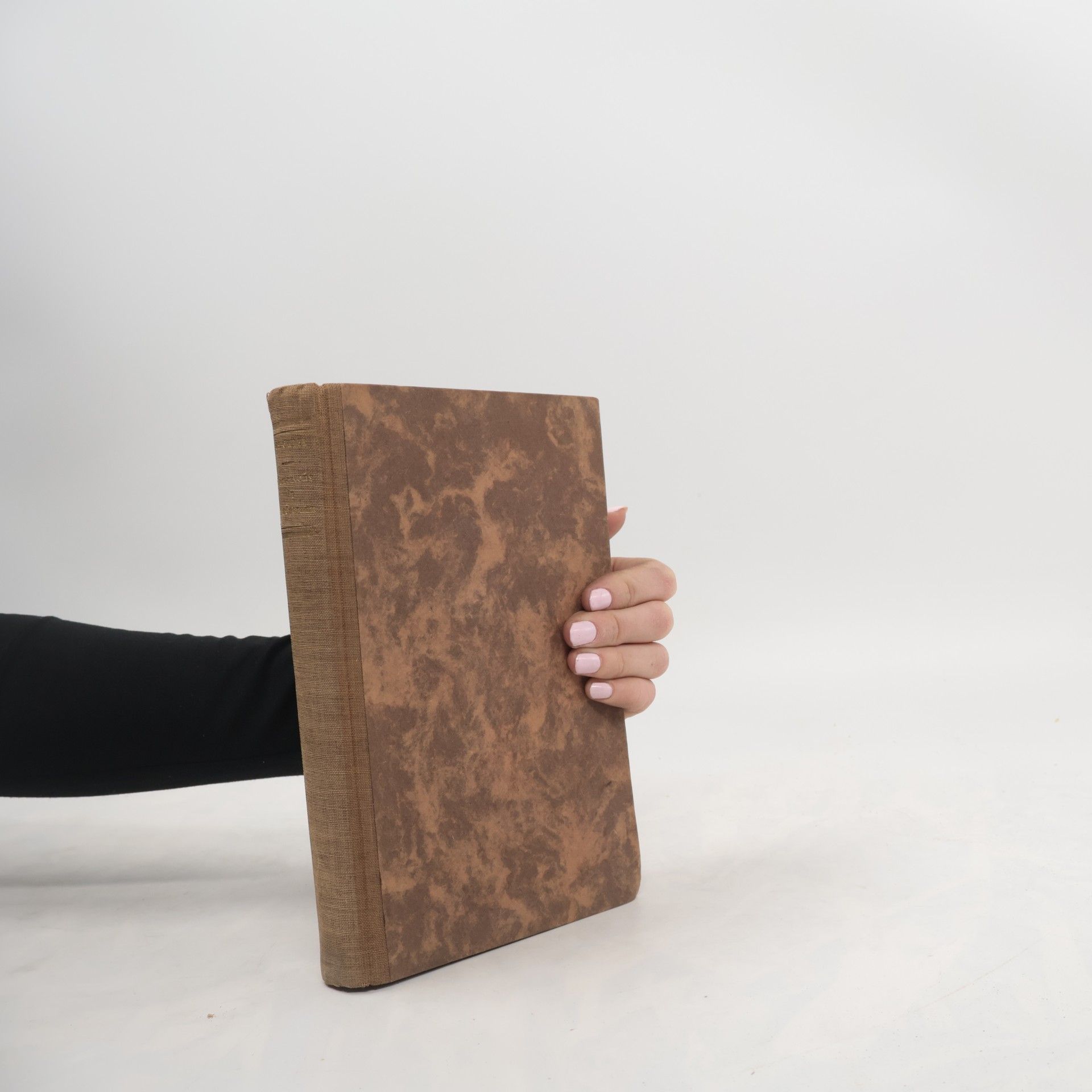 Rendezvous in Schönbrunn