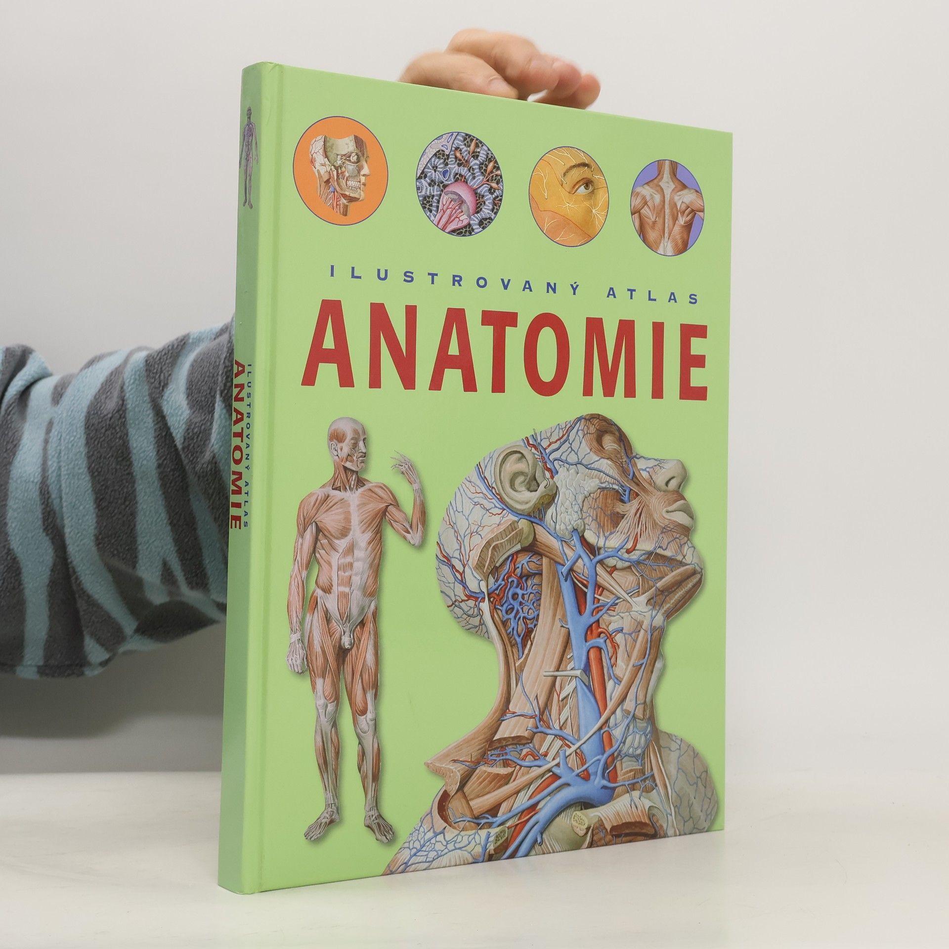 Ilustrovaný atlas anatomie