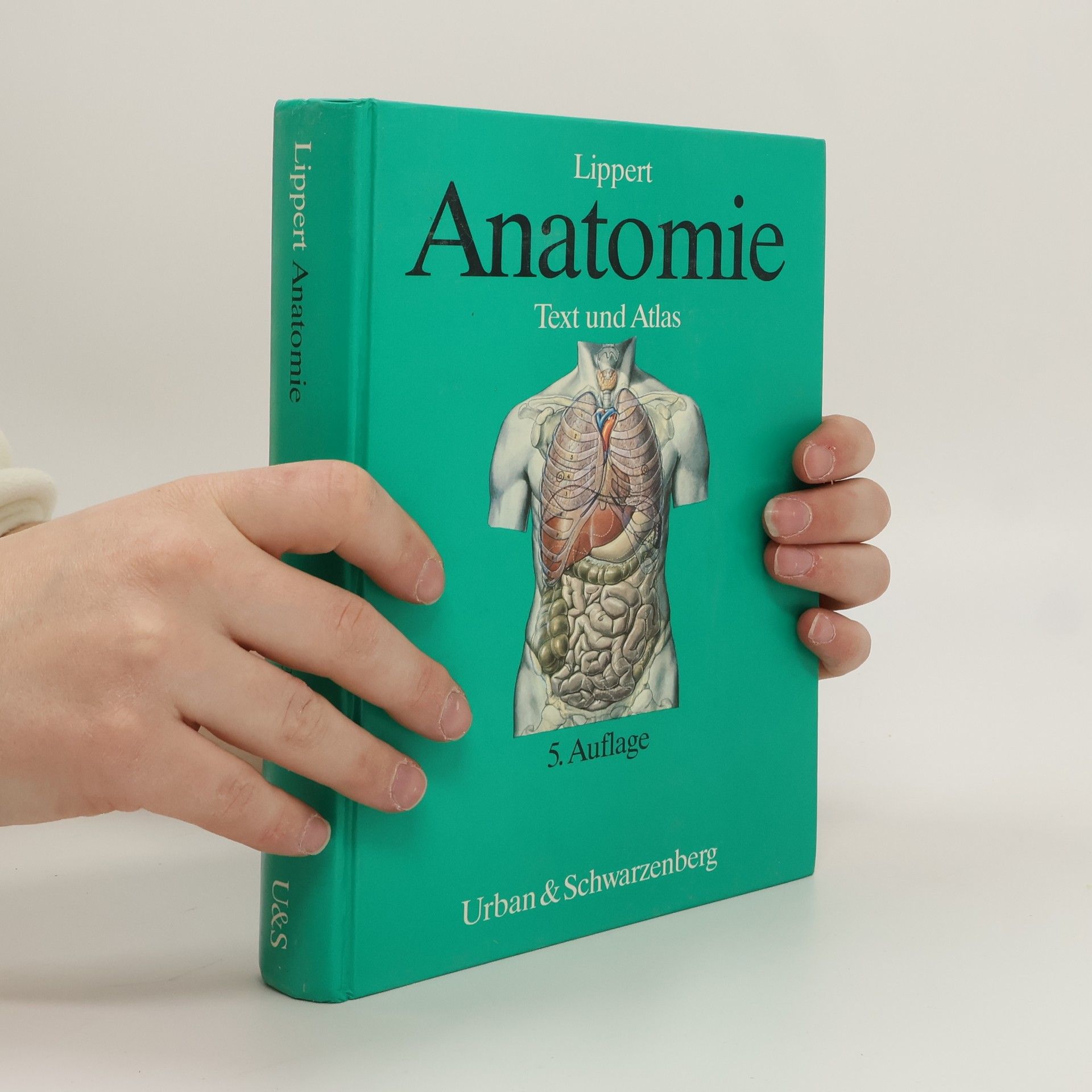 Herbert Lippert Anatomie