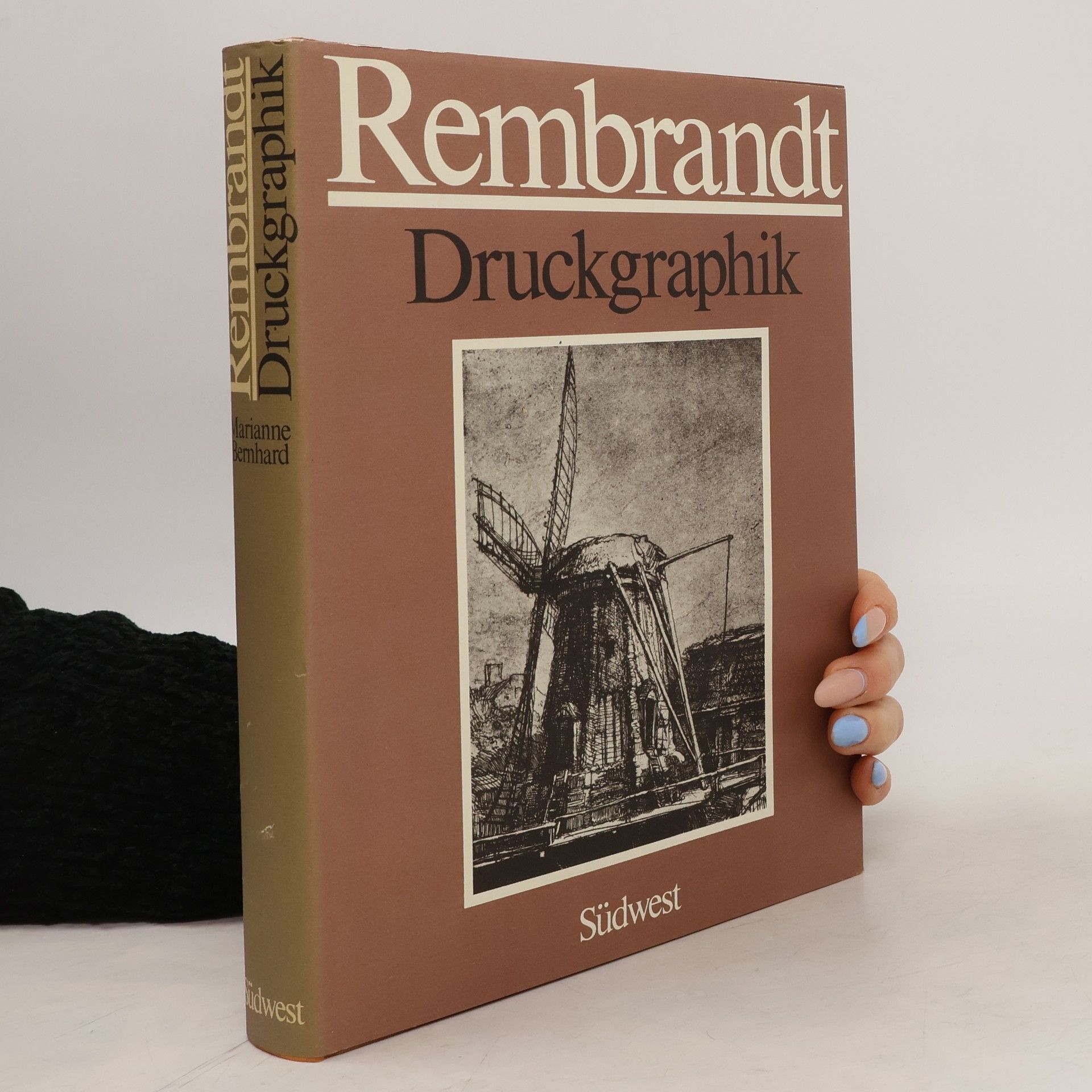 Kolektív autorov Rembrandt