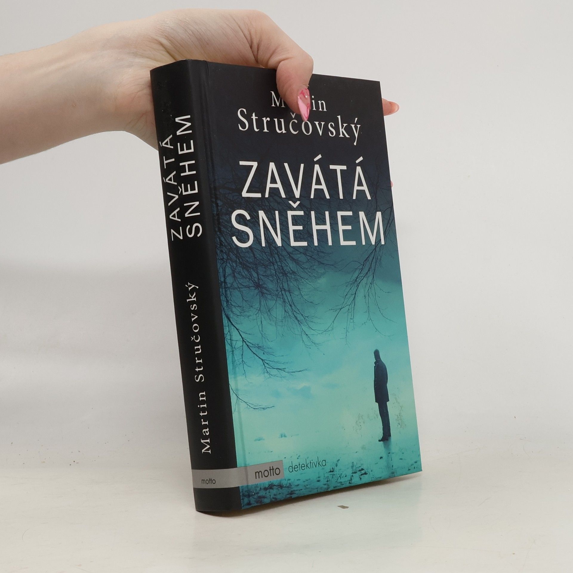 Martin Stručovský Zavátá sněhem