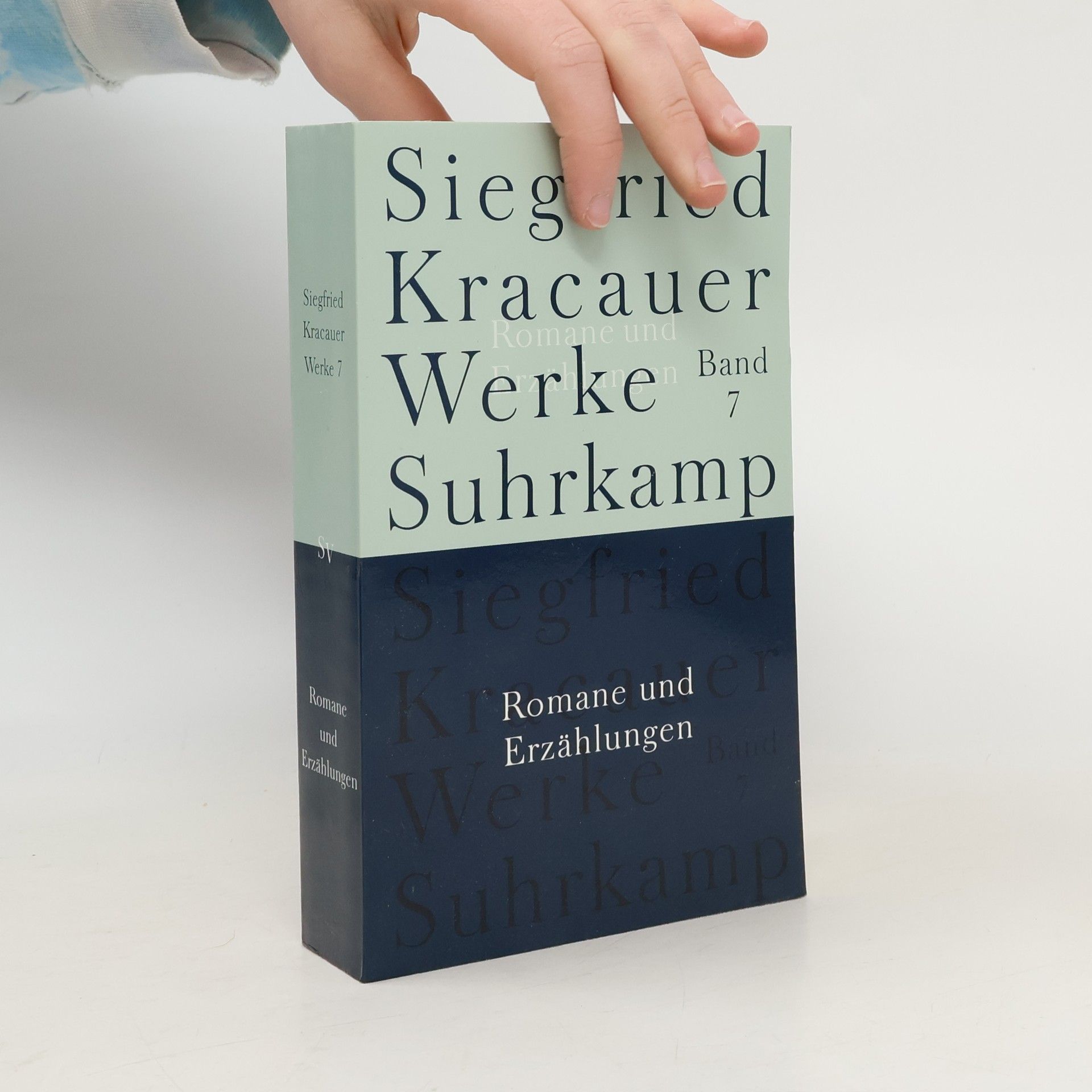 Siegfried Kracauer Werke - 7: Romane und Erzählungen