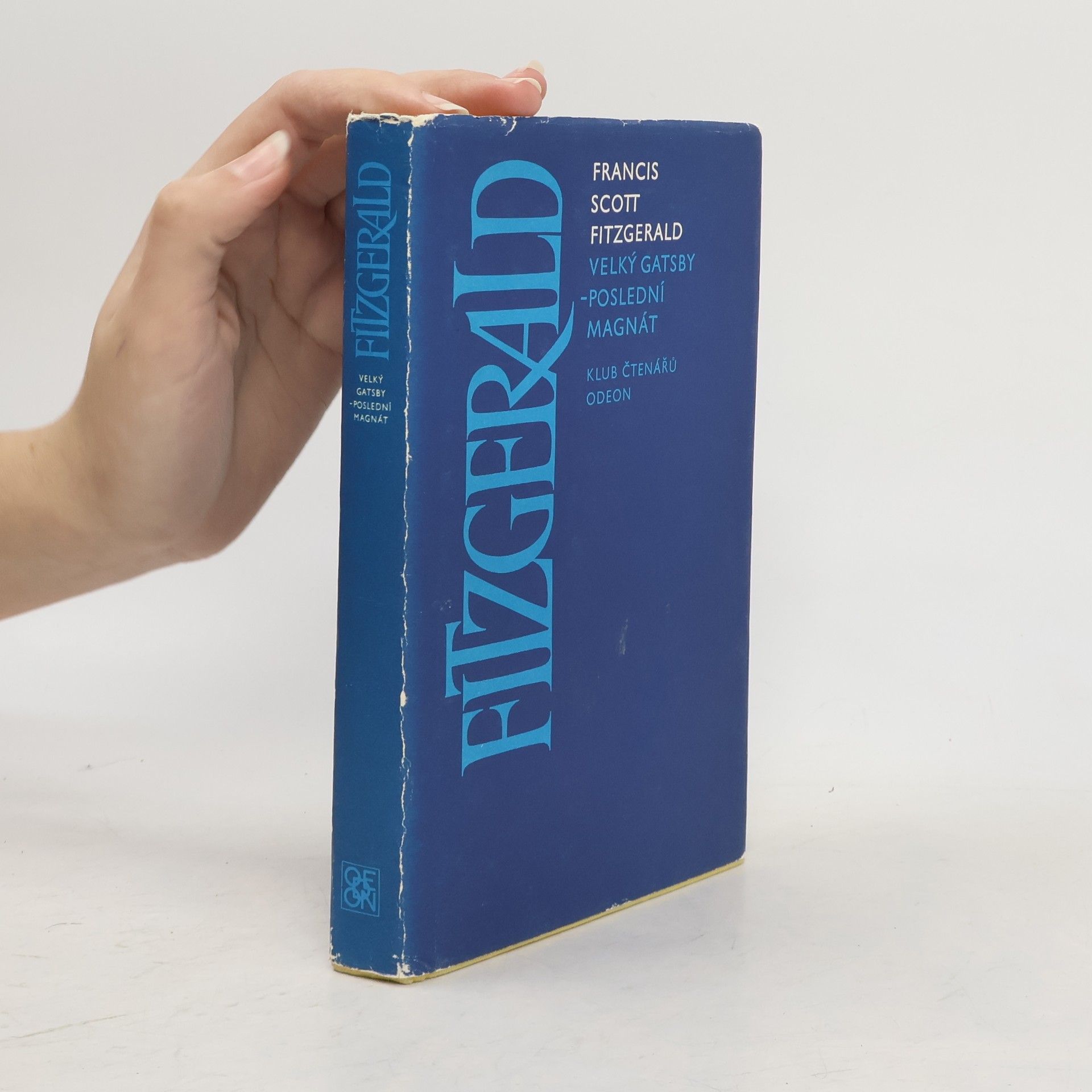 Velký Gatsby. Poslední magnát