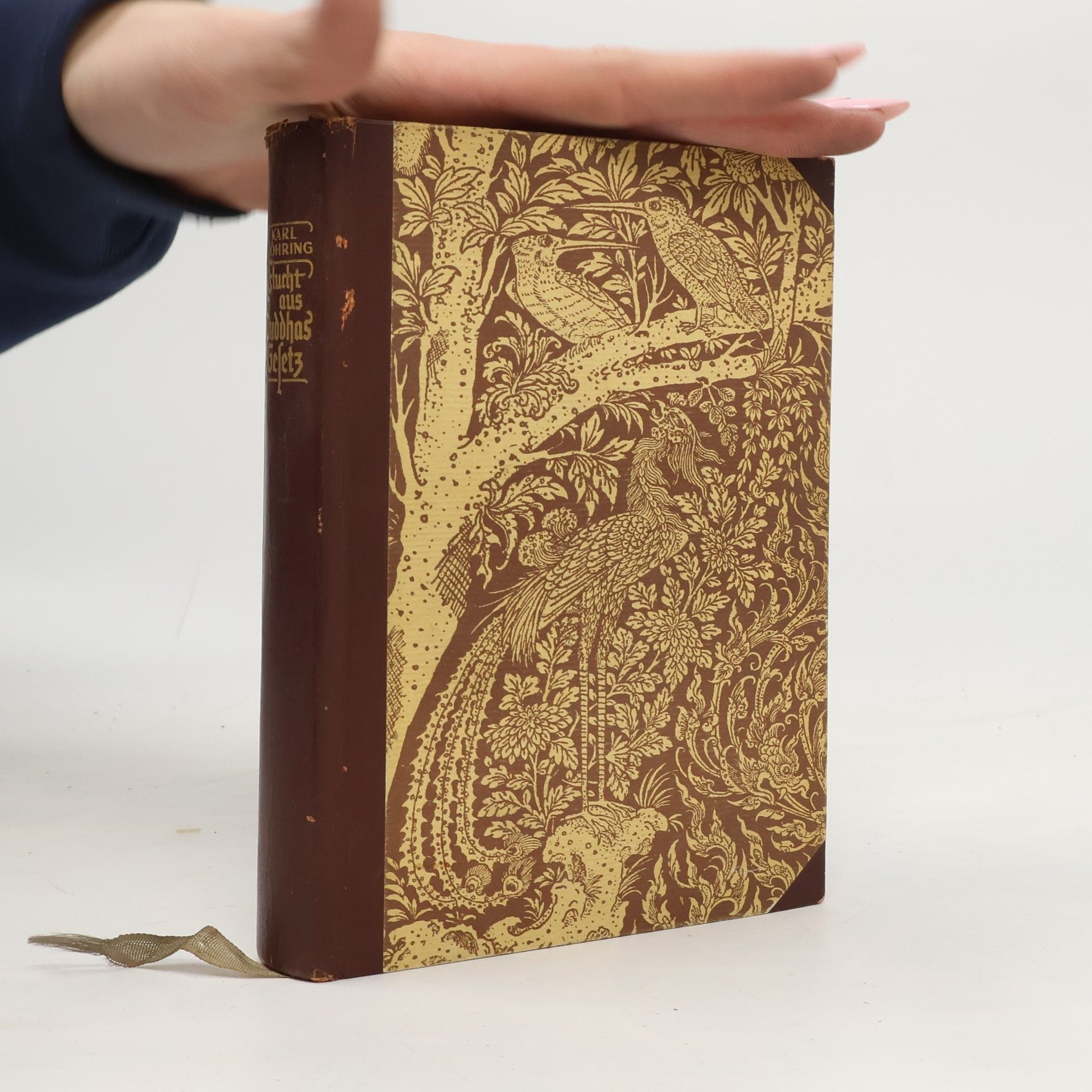 Karl Döhring Flucht aus Buddhas Gesez