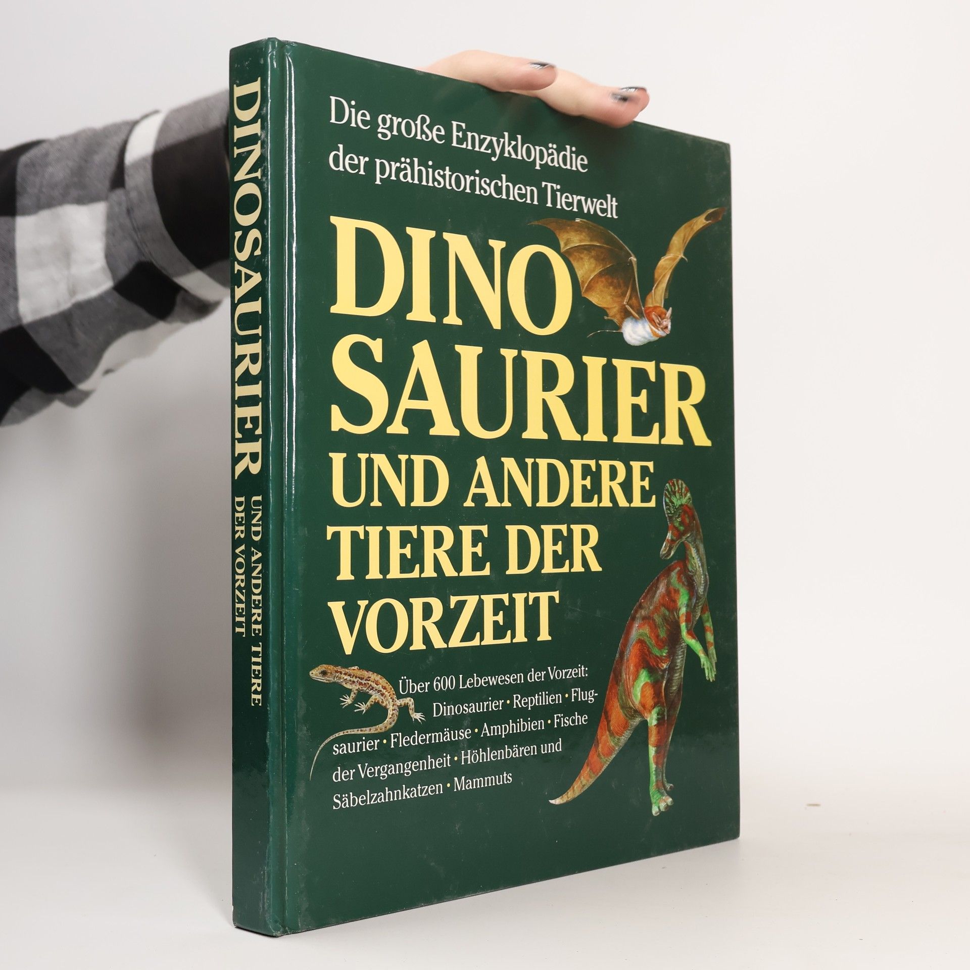 Dinosaurier und andere Tiere der Vorzeit