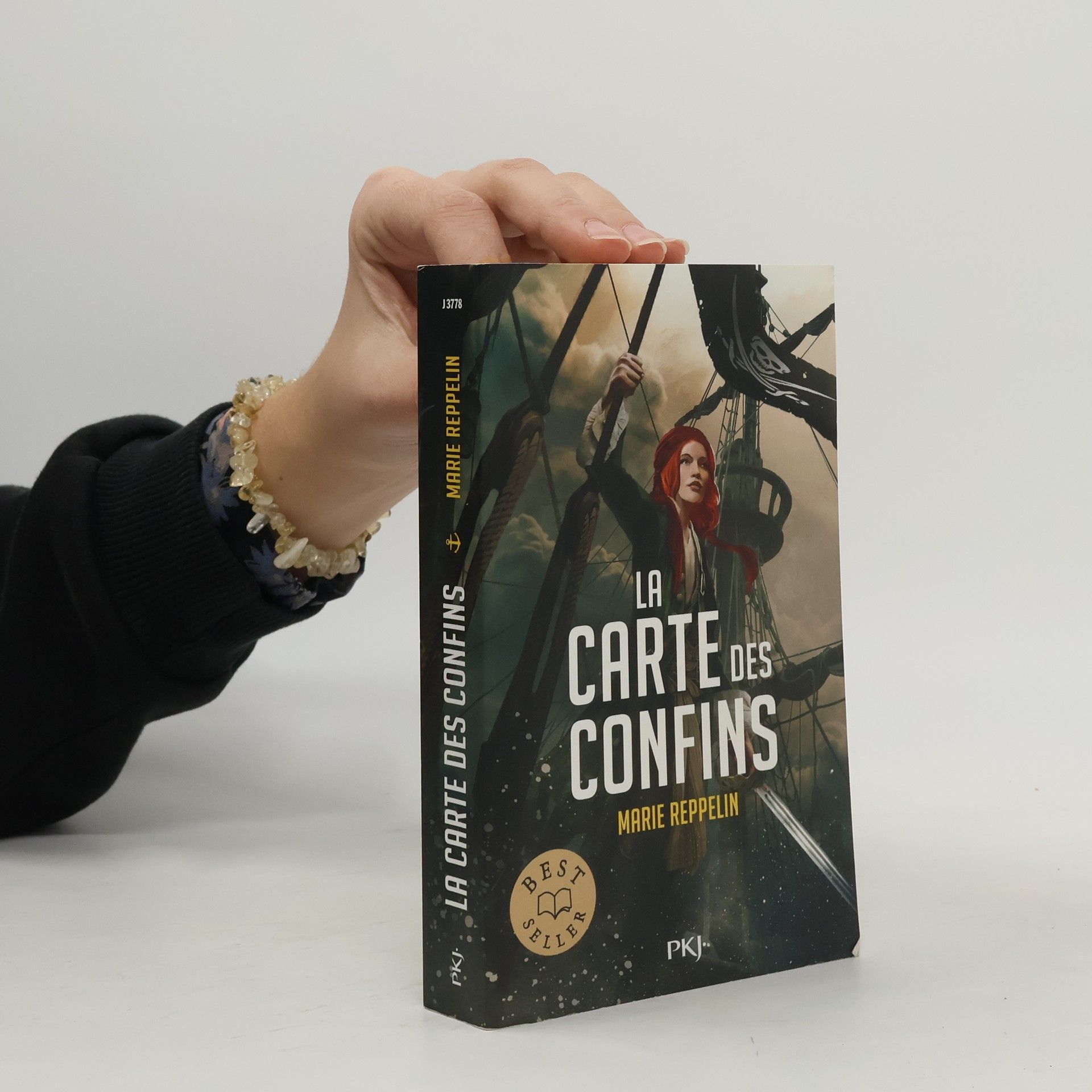 Marie Reppelin La carte des confins