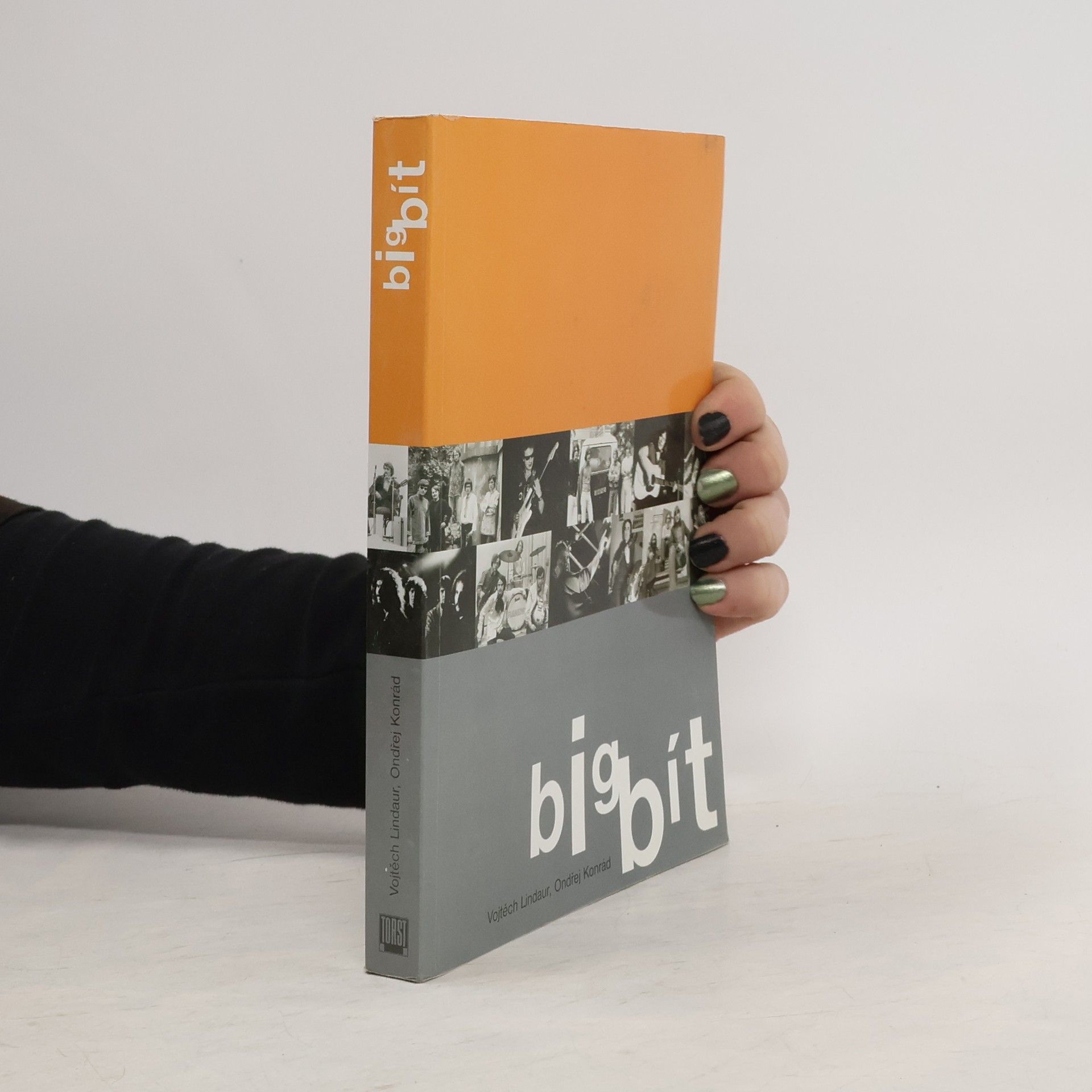 Vojtěch Lindaur Bigbít