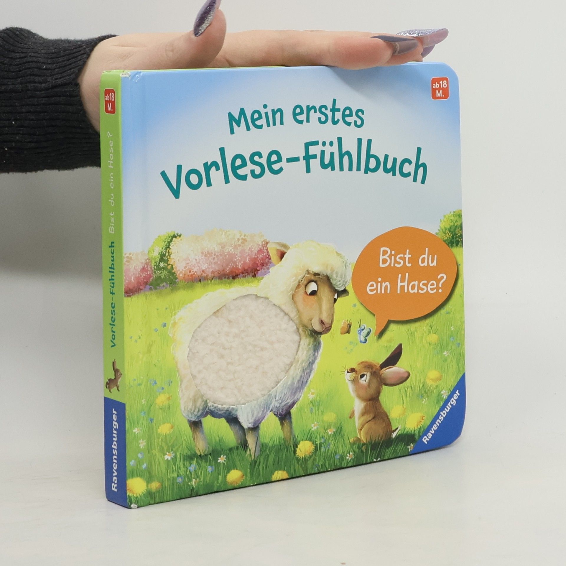 Kathrin-Lena Orso Mein erstes Vorlese-Fühlbuch: Bist du ein Hase?