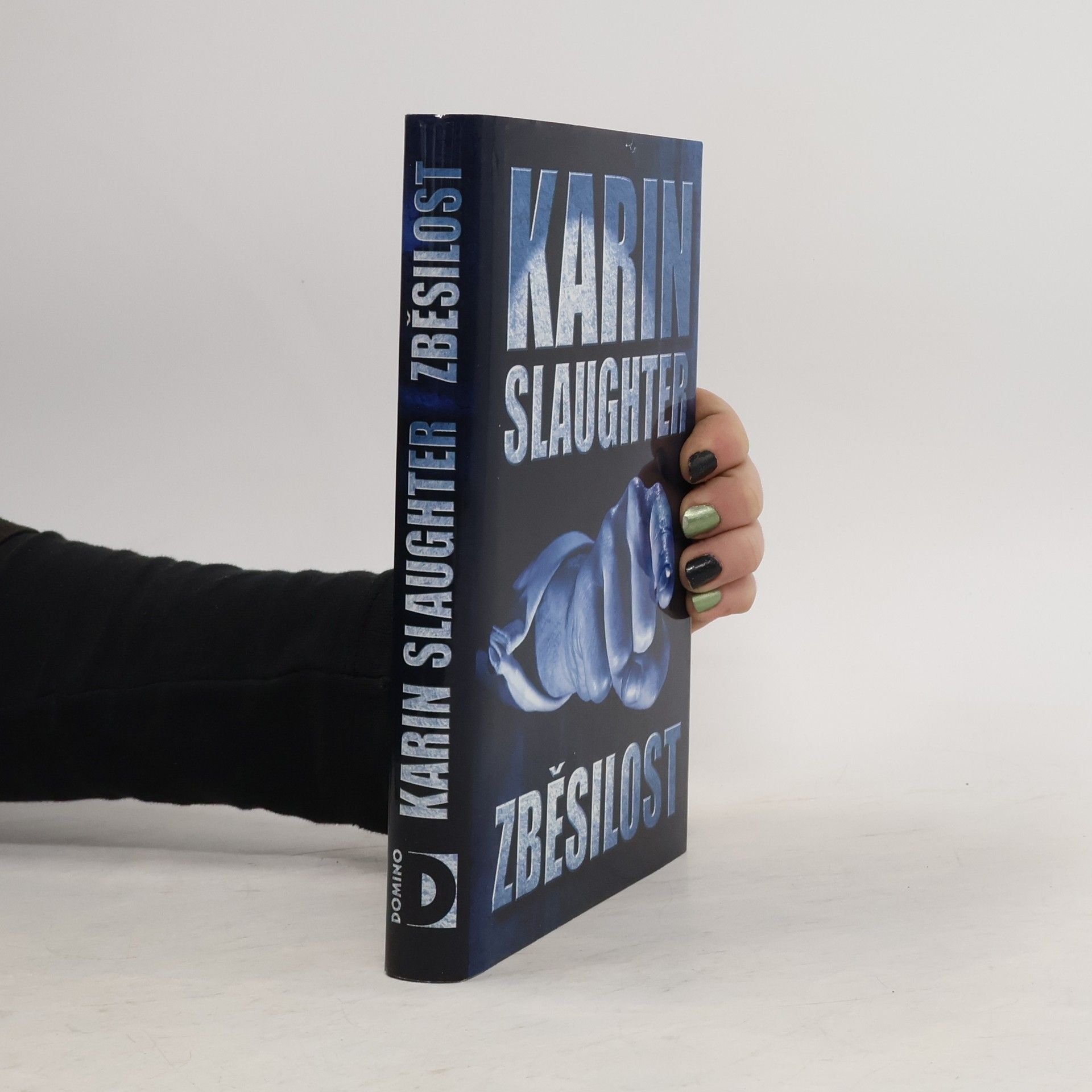Karin Slaughter Zběsilost