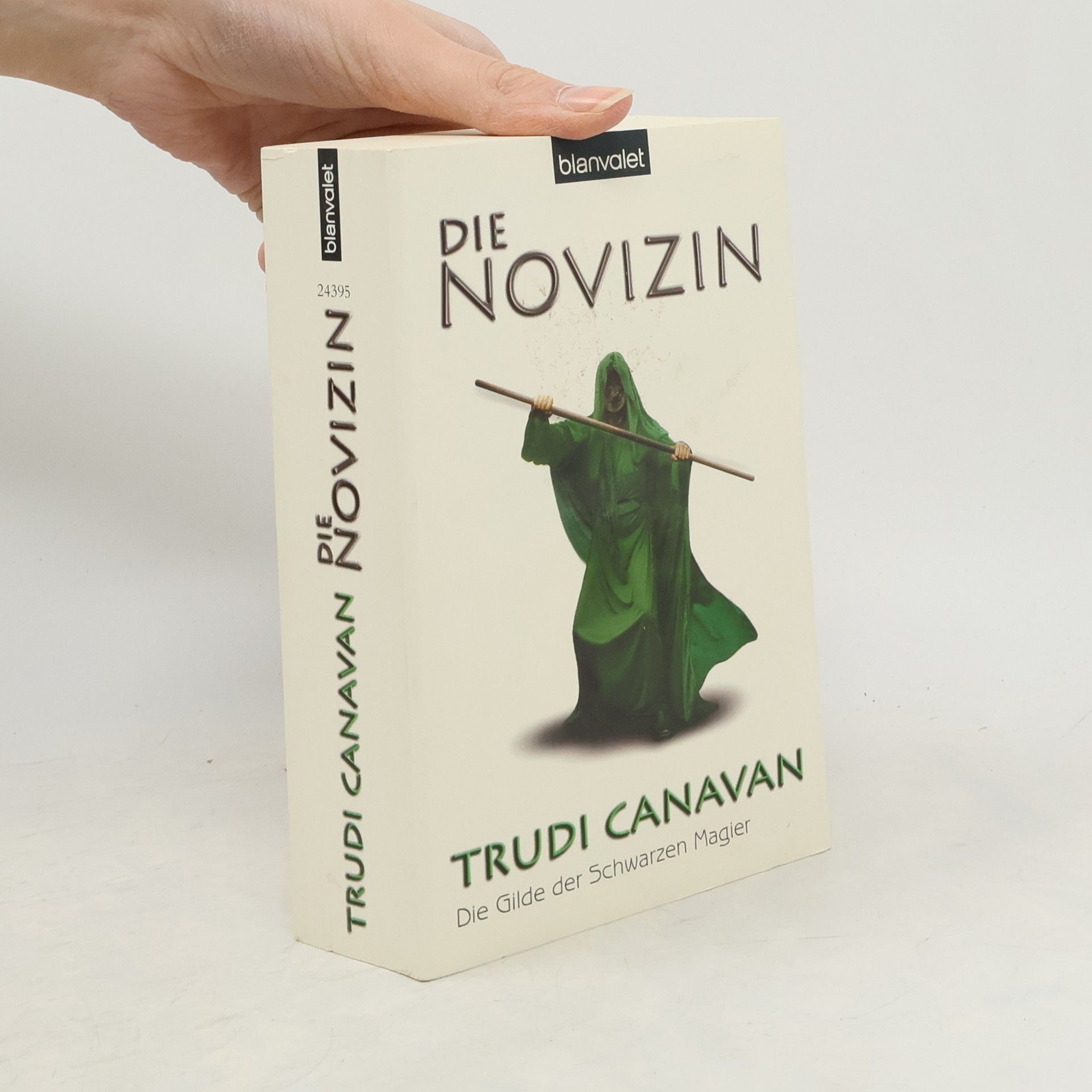 Trudi Canavan Die Novizin
