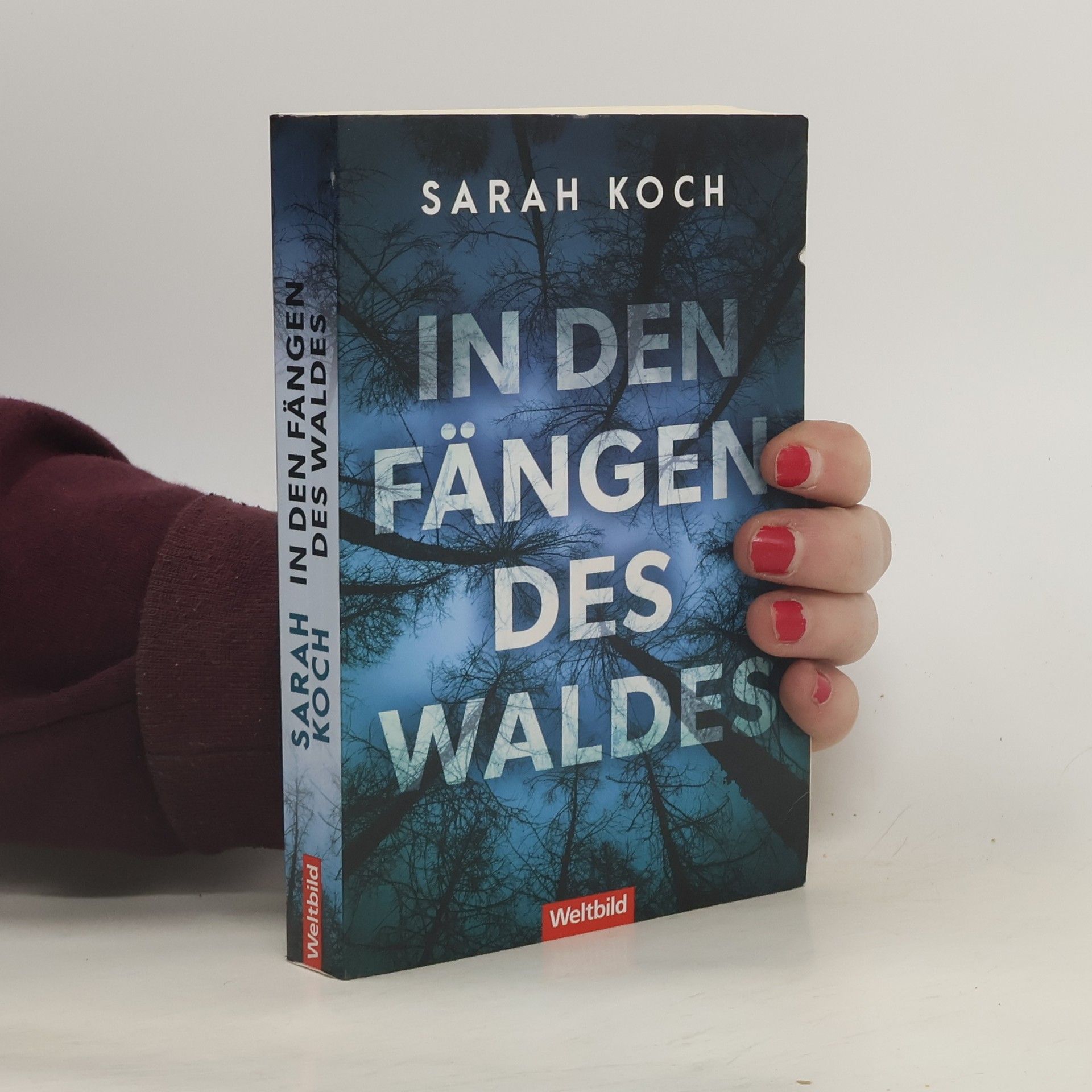 Sarah Koch In den Fängen des Waldes