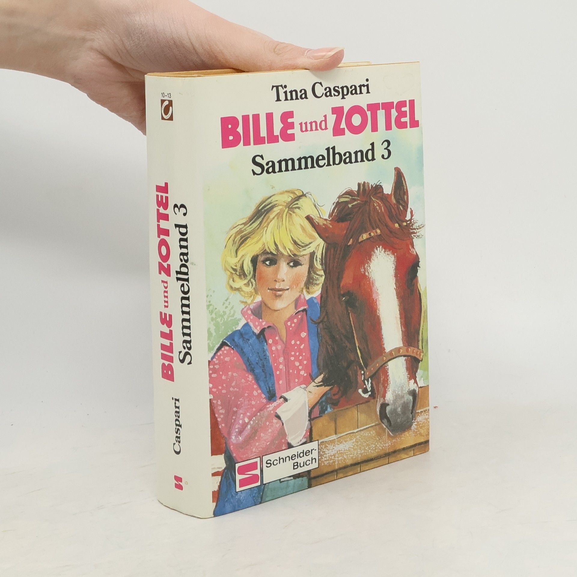 Tina Caspari Ein Cowboy für Bille und Zottel; Ein Filmstar mit vier Beinen; Im Sattel durch den Sommer