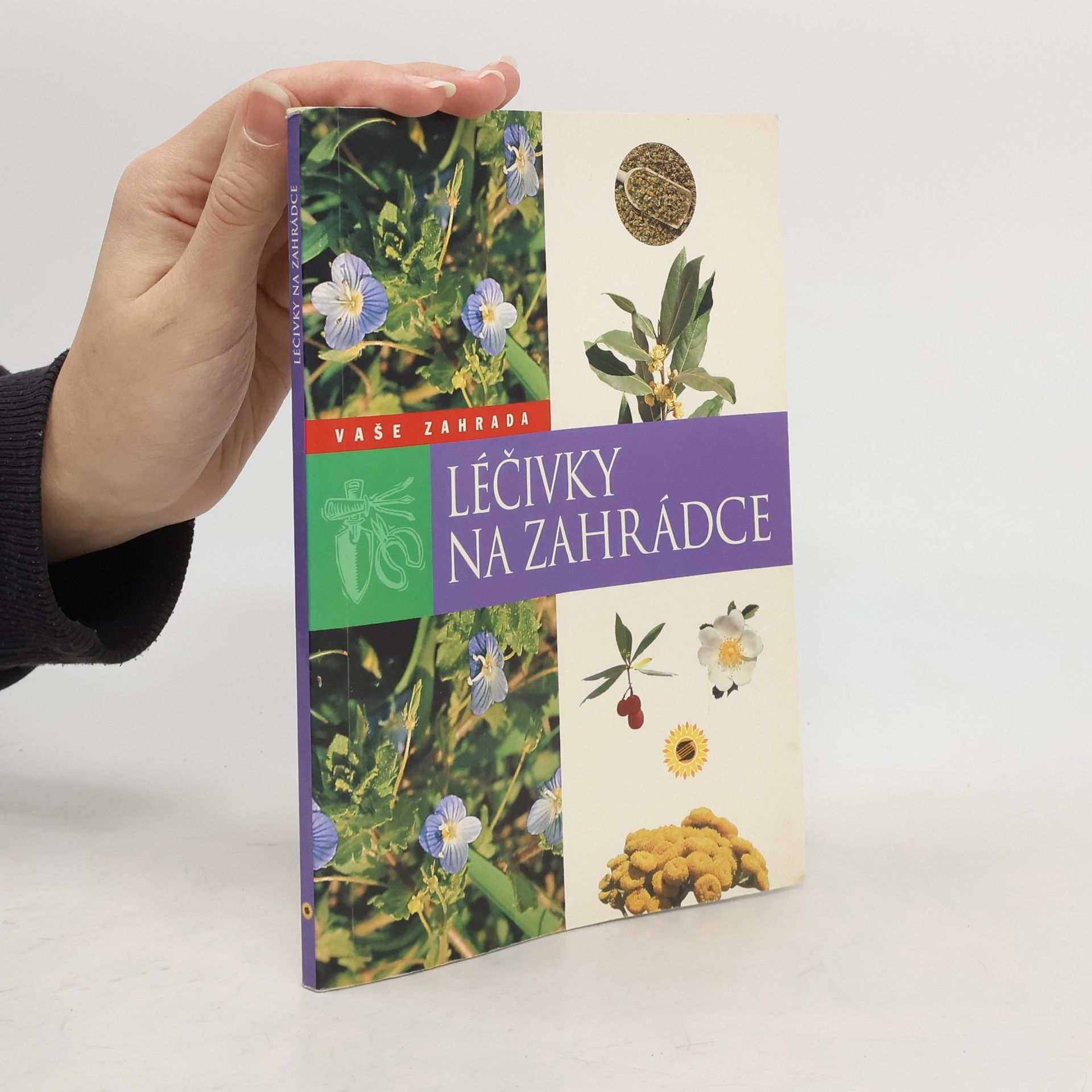 Jitka Kováčová Léčivky na zahrádce