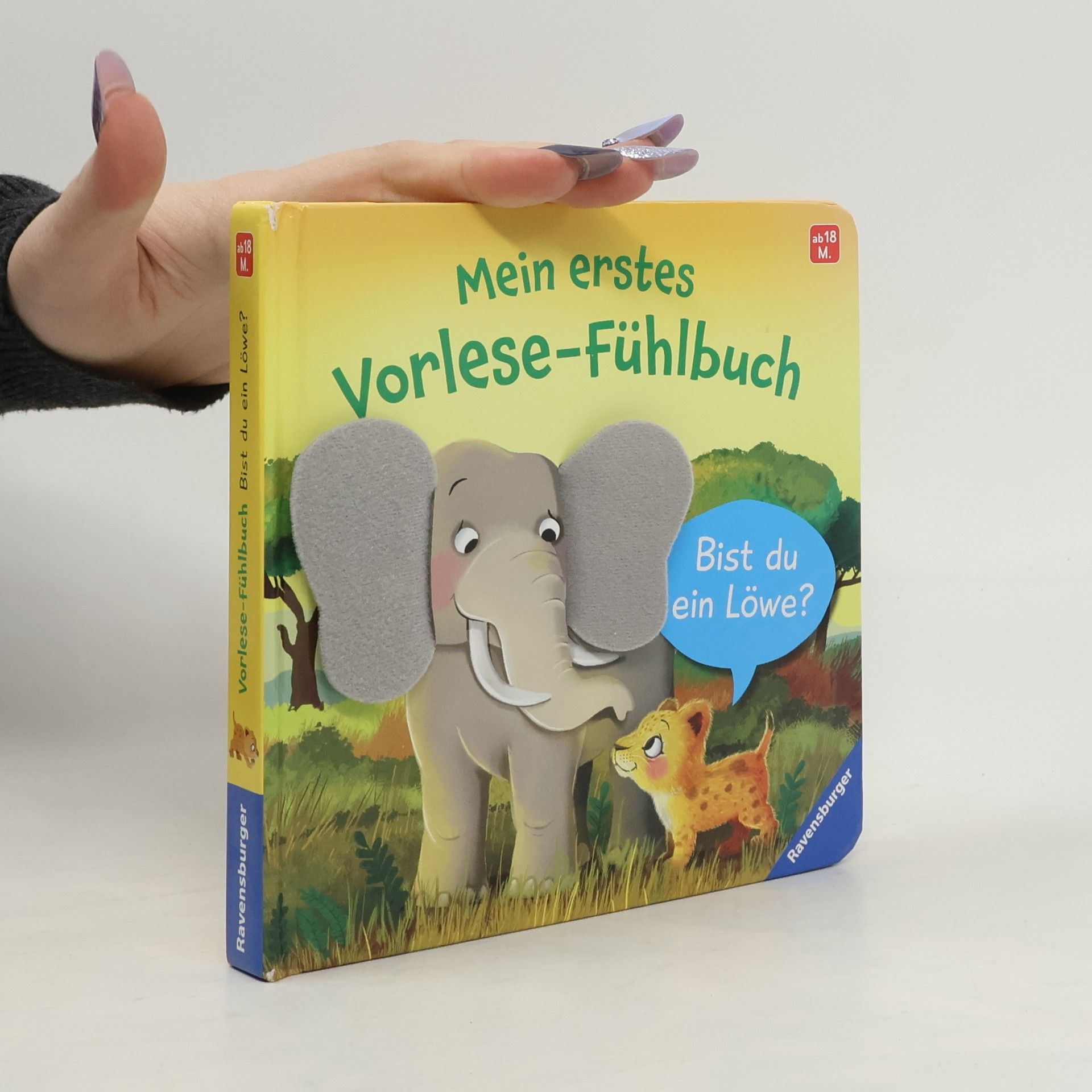 Kathrin-Lena Orso Mein erstes Vorlese-Fühlbuch: Bist du ein Löwe?