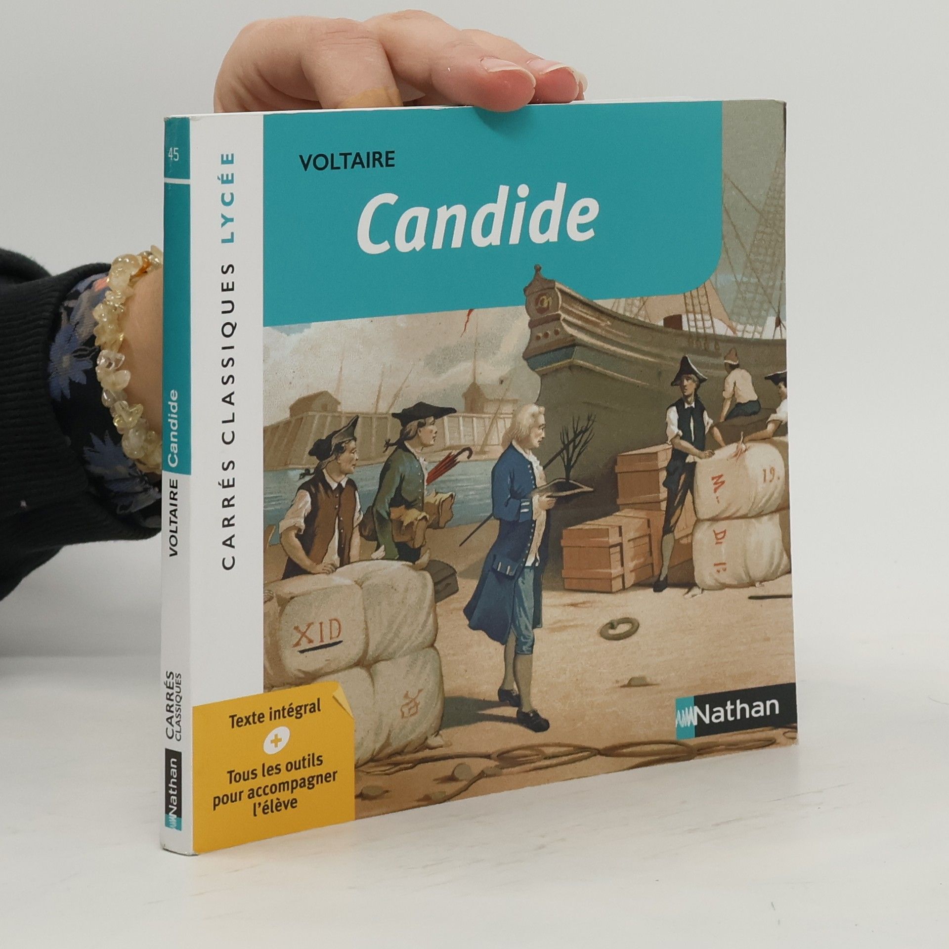 Collectif d'auteurs Candide ou l'Optimisme