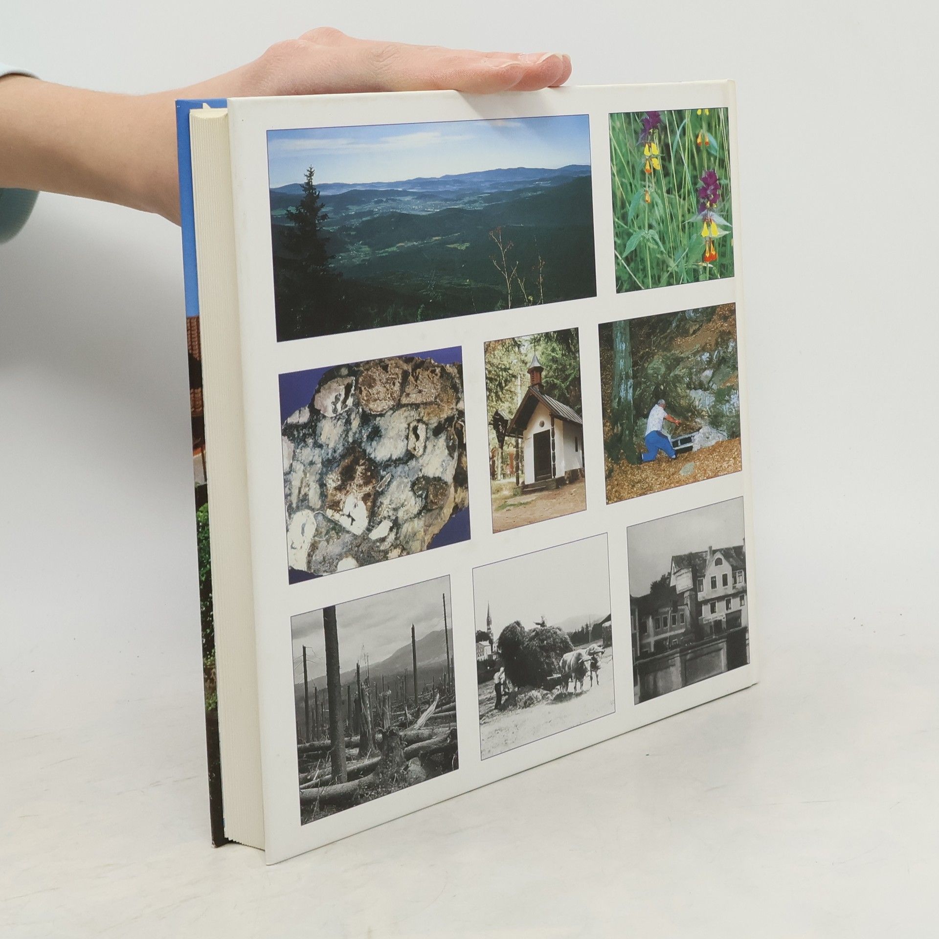 Heimatbuch
