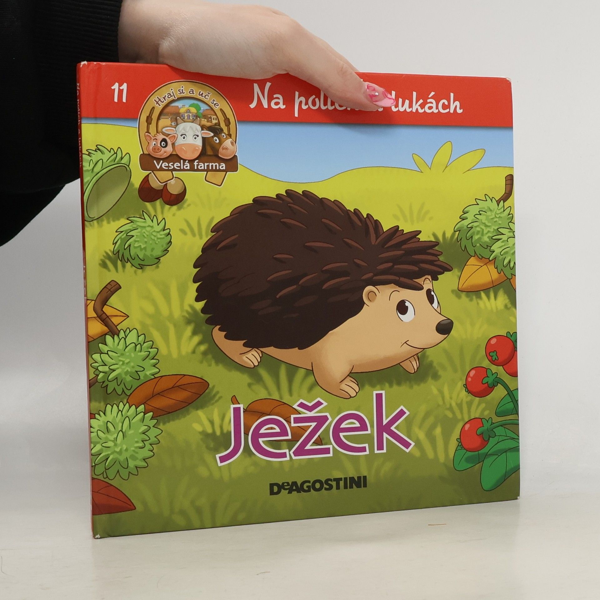 Autorenkollektiv Na polích a lukách 11. Ježek