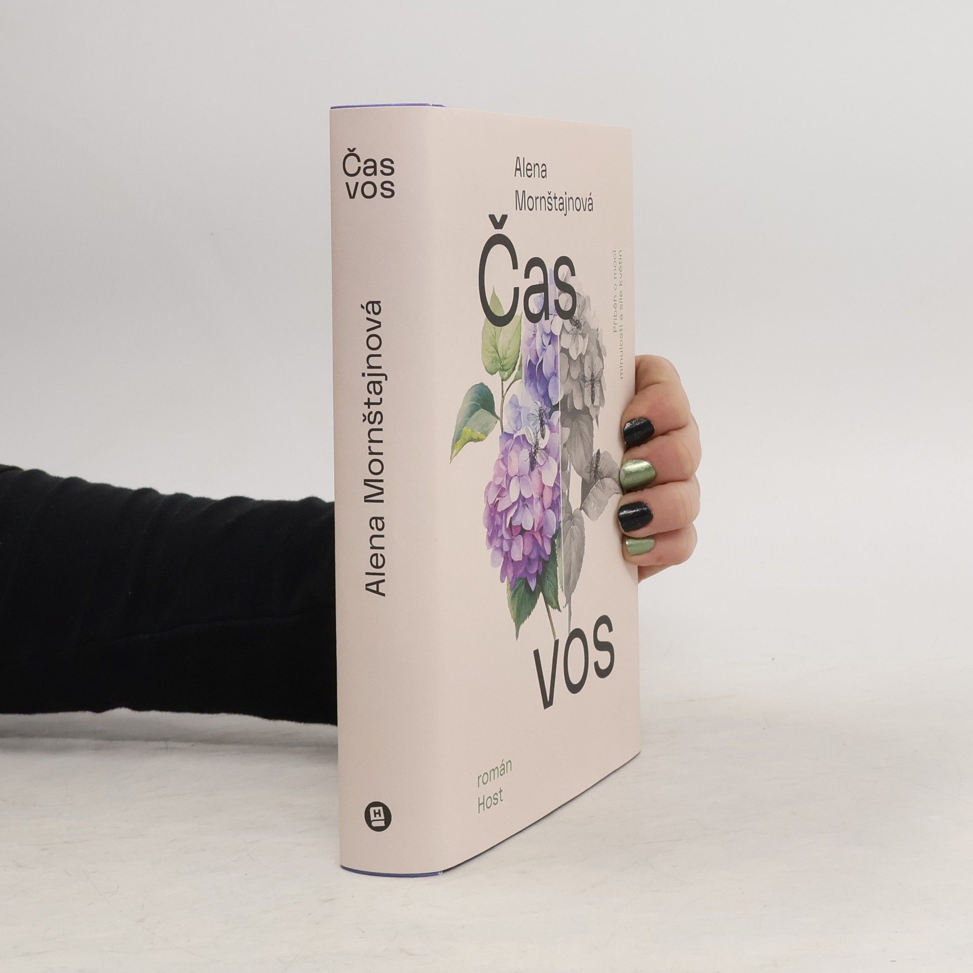 Alena Mornštajnová Čas vos