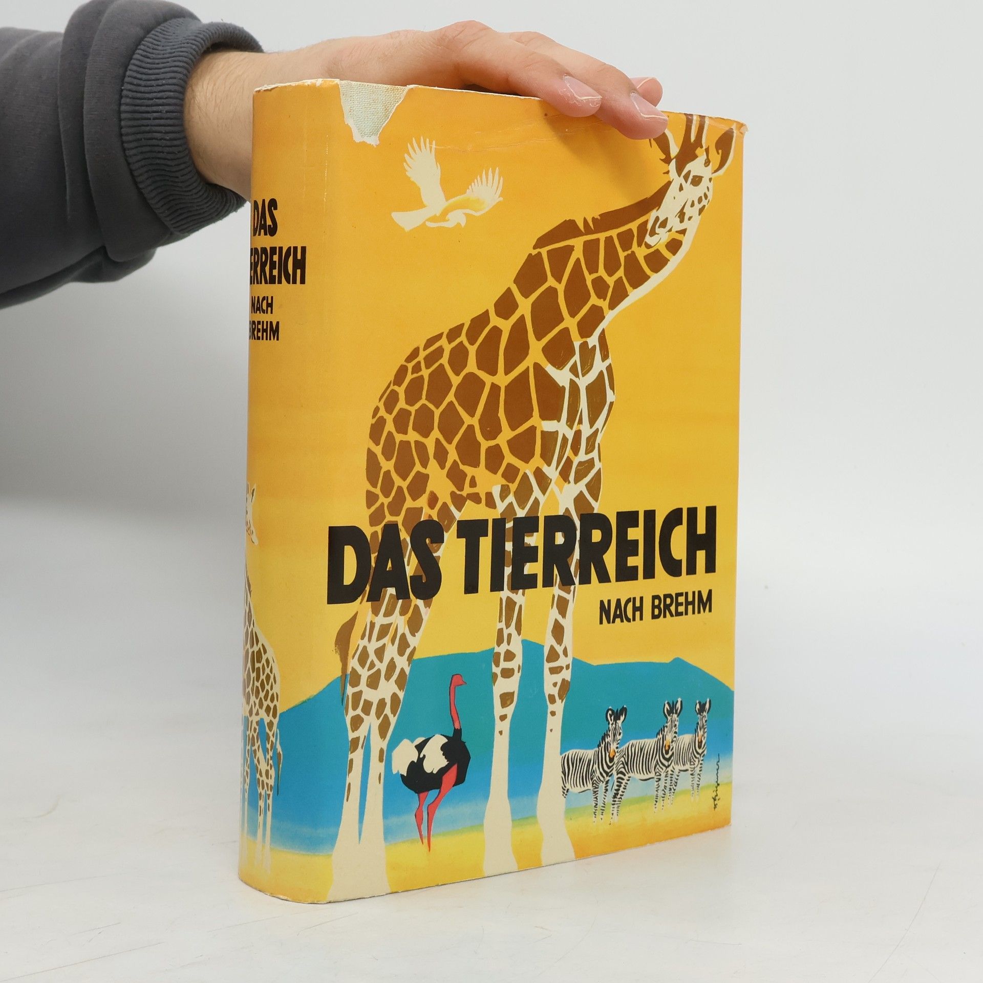 Autorenkollektiv Das Tierreich nach Brehm