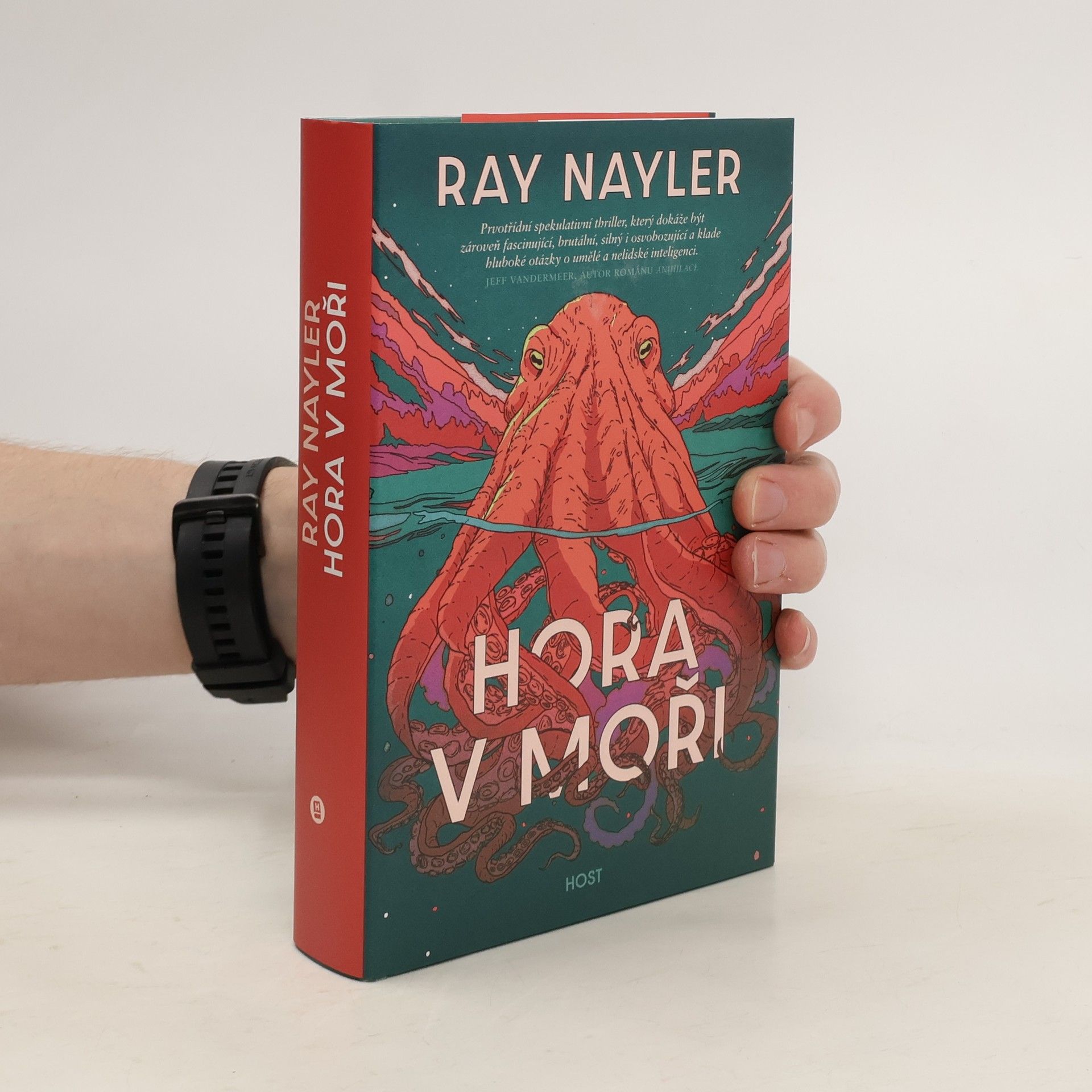 Milan Pohl Hora v moři