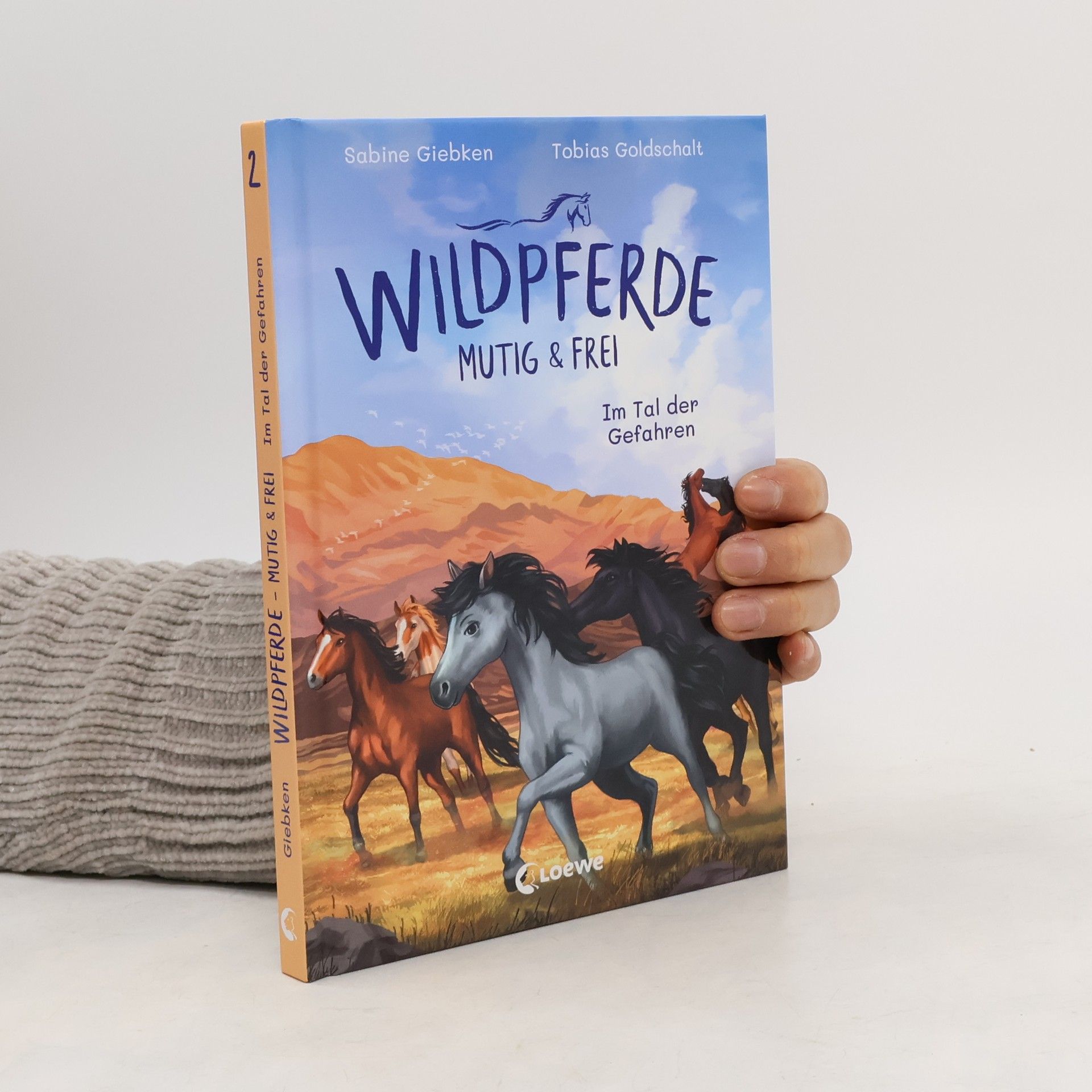 Sabine Giebken Wildpferde - mutig und frei (Band 2) - Im Tal der Gefahren