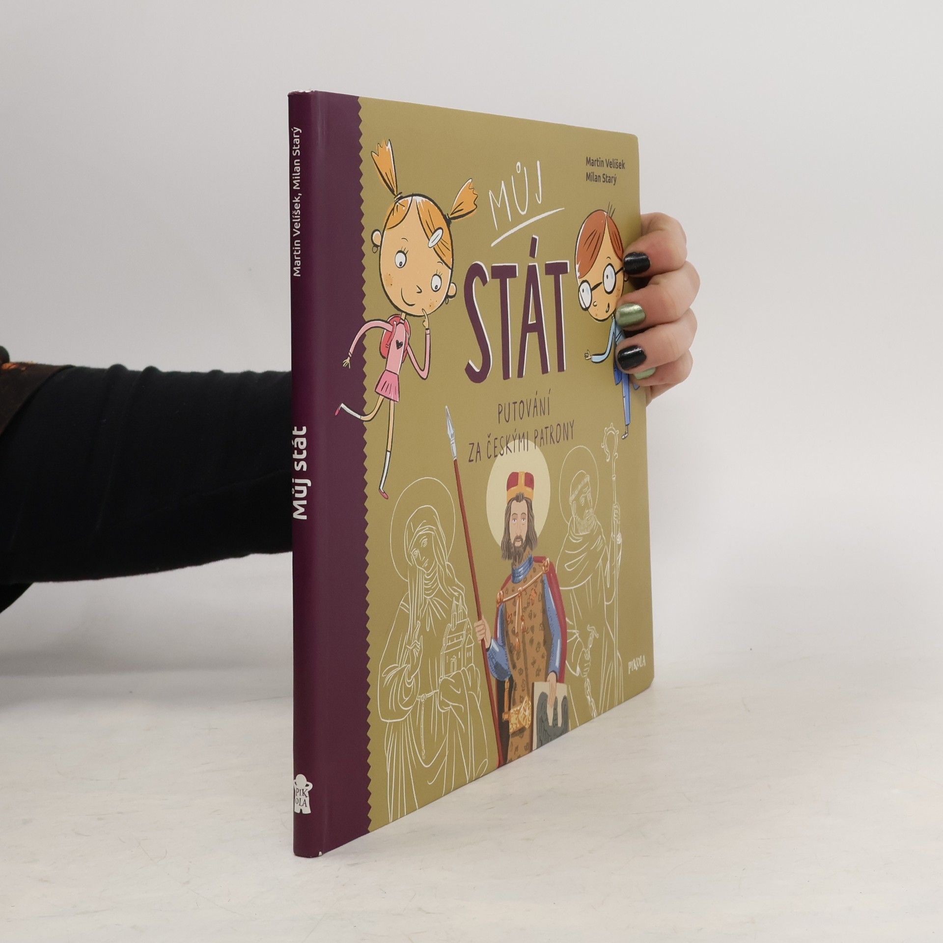 Martin Velíšek Můj stát : putování za českými patrony