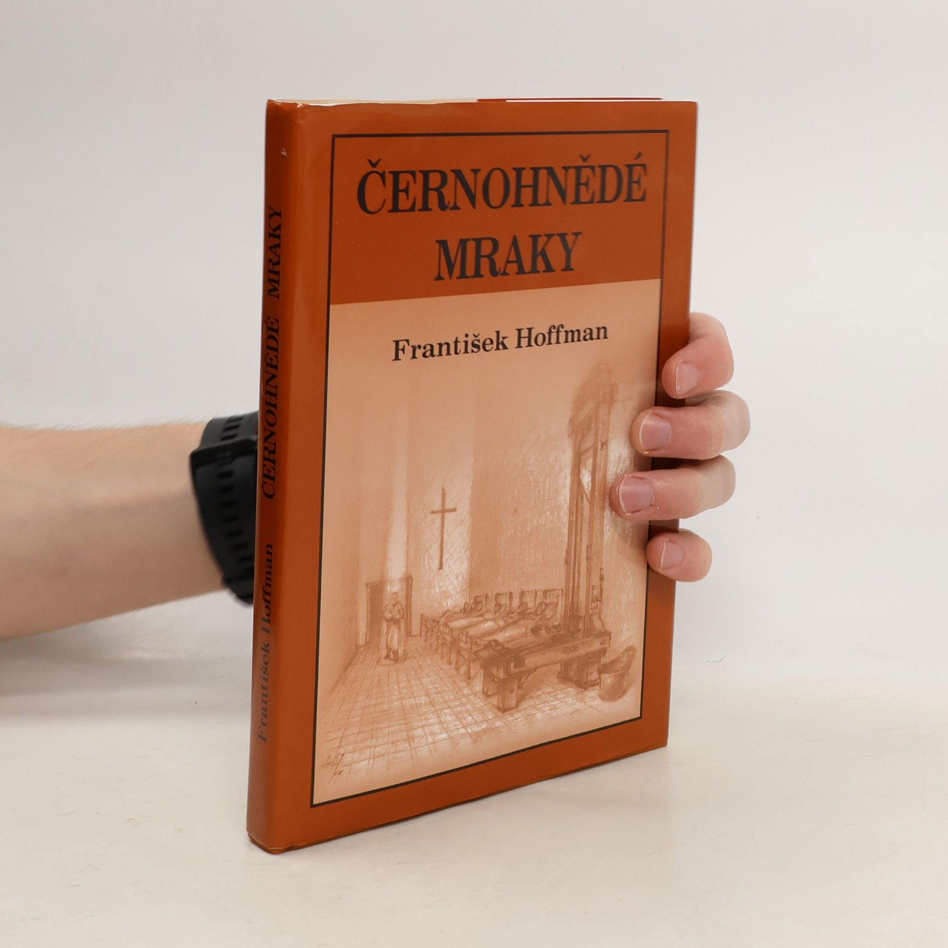František Hoffman Černohnědé mraky
