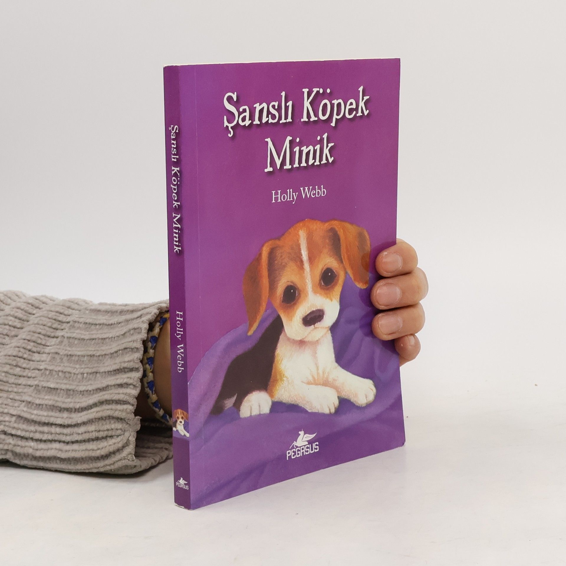 Holly Webb Şanslı Köpek Minik