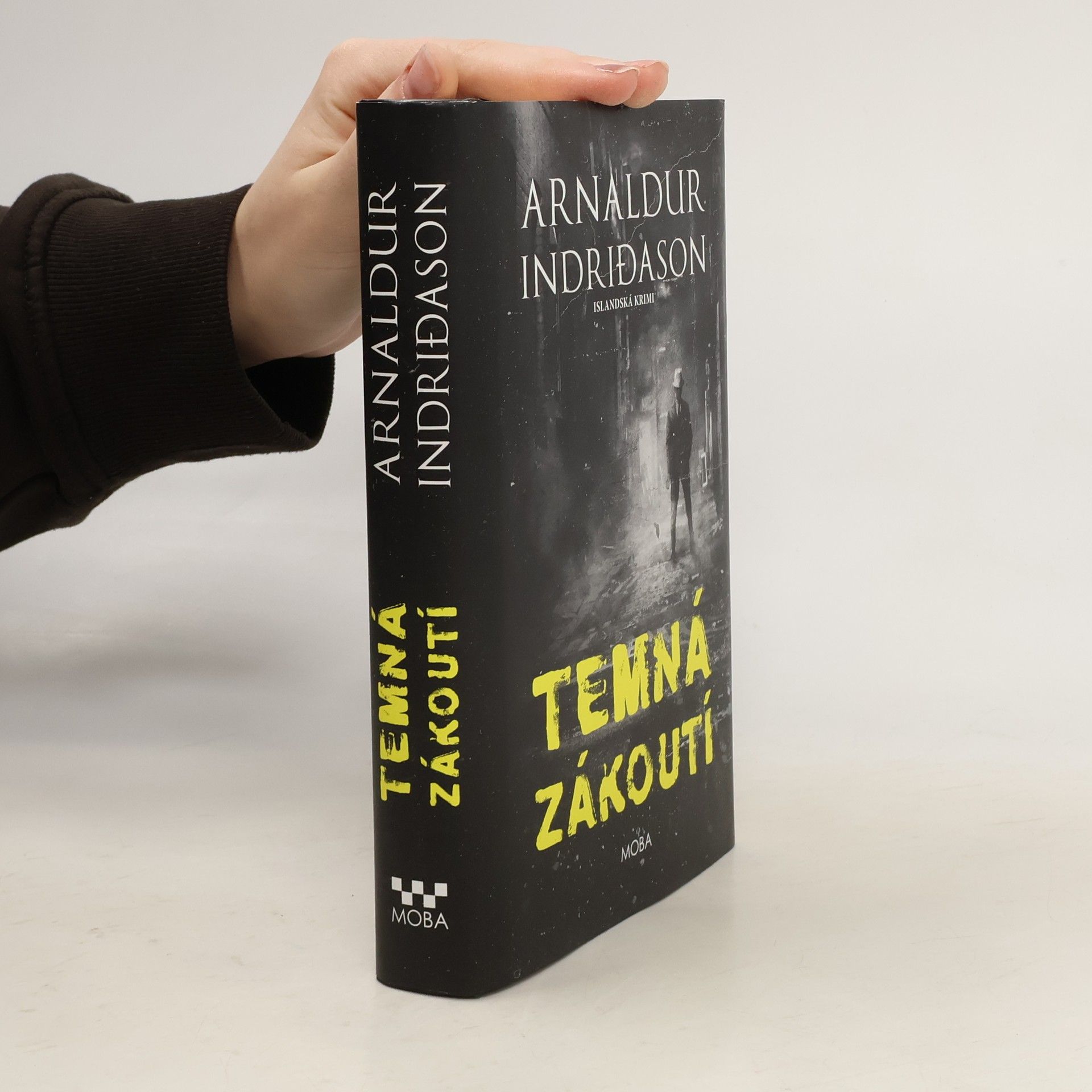 Arnaldur Indriðason Temná zákoutí