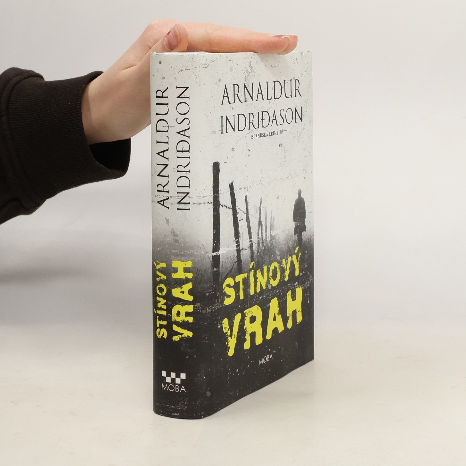 Arnaldur Indriðason Stínový vrah