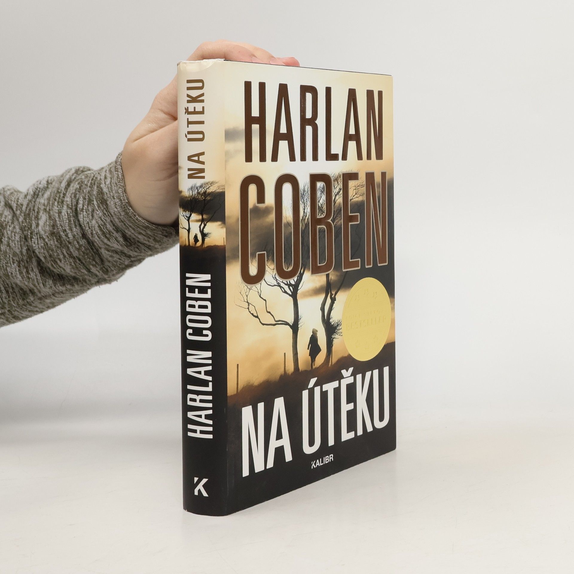 Harlan Coben Na útěku