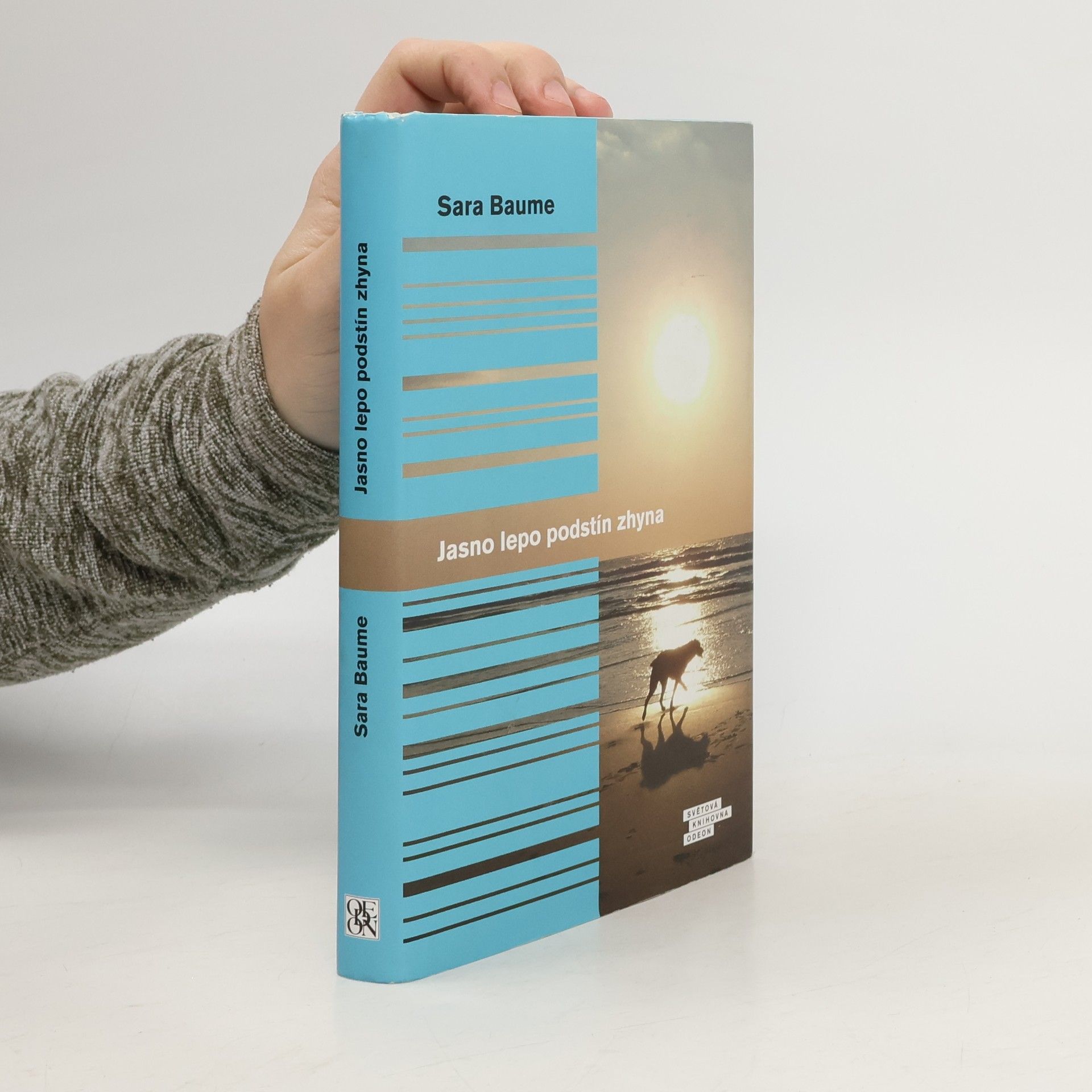 Sara Baume Jasno lepo podstín zhyna