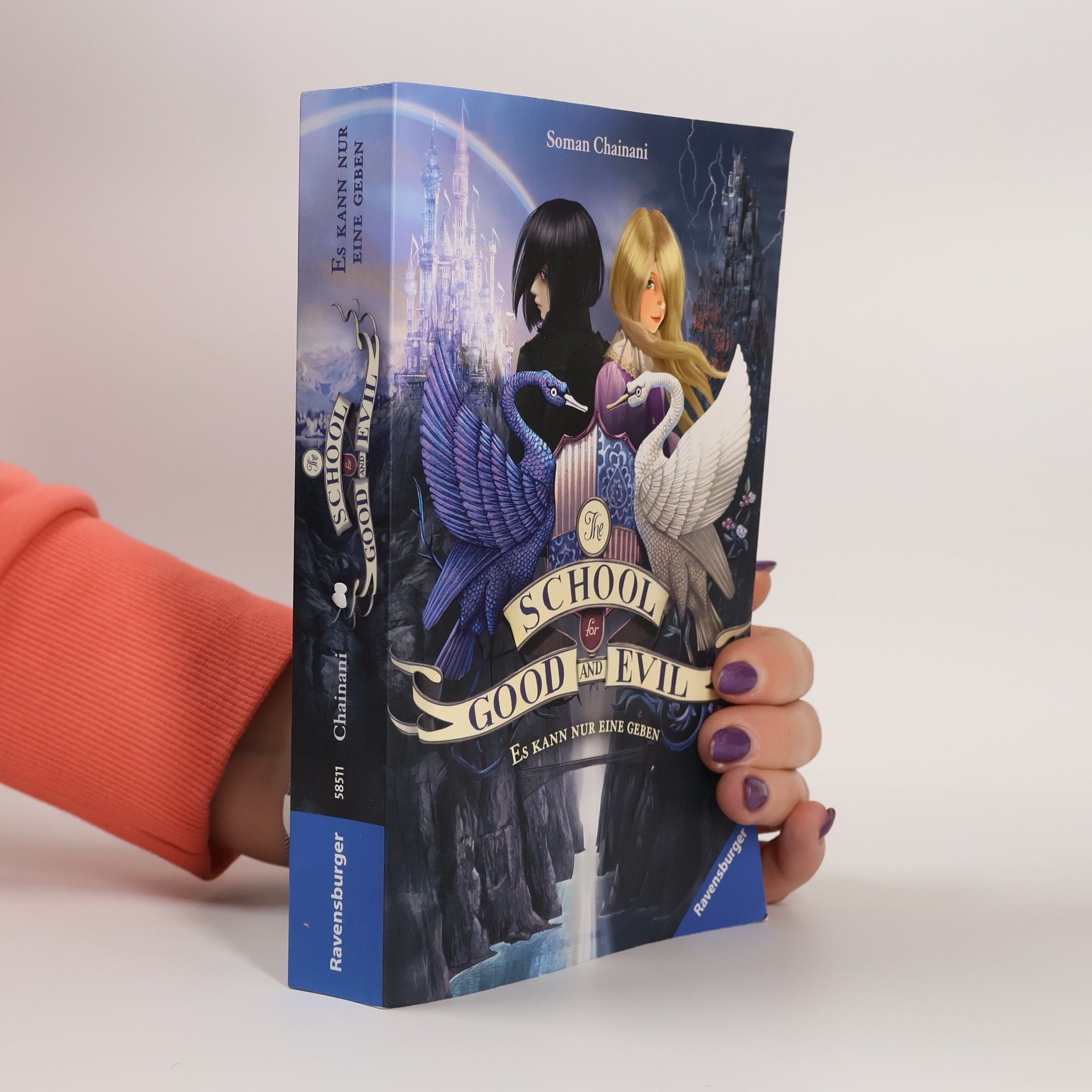 Soman Chainani Es kann nur eine geben, Band 1