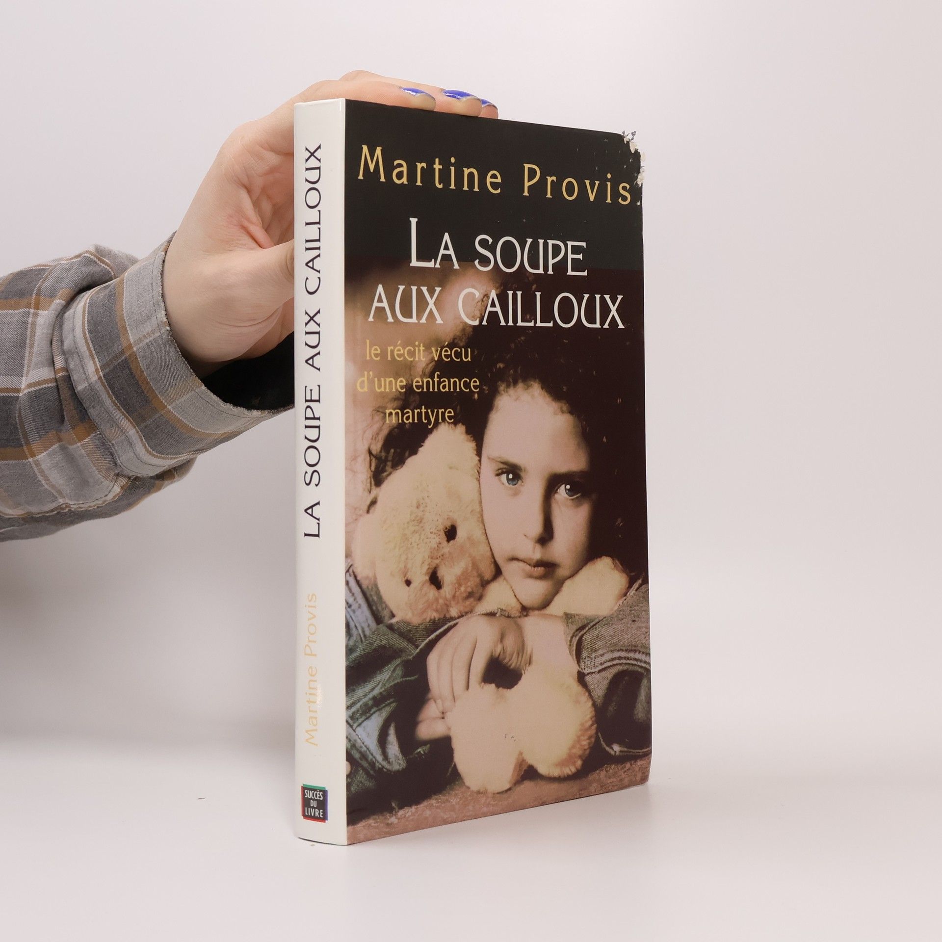 Martine Provis La soupe aux cailloux