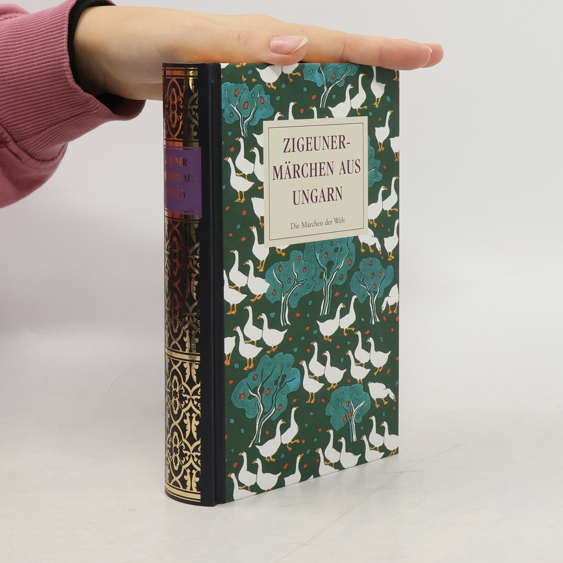 Sándor Erdész Zigeunermärchen aus Ungarn