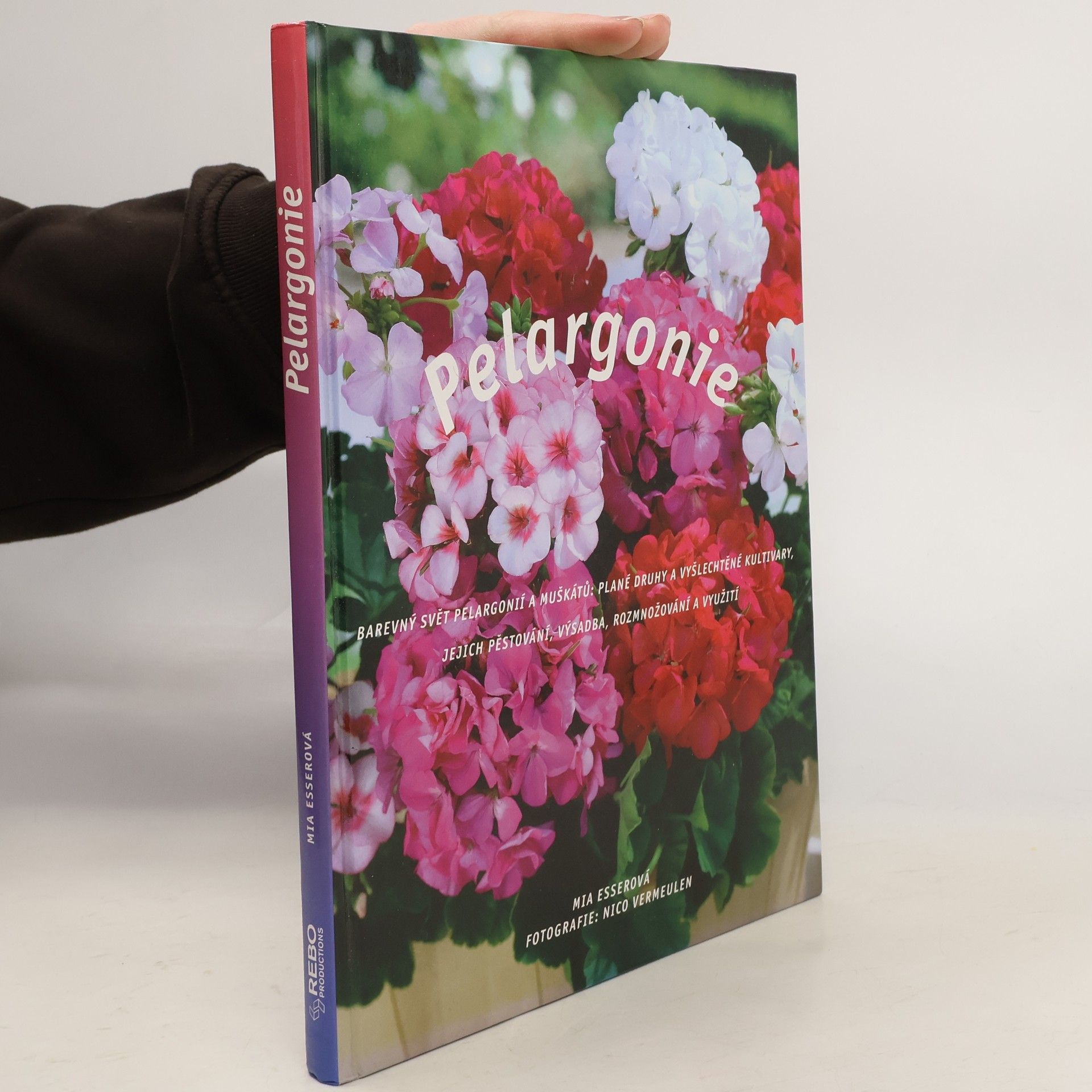 Mia Esser Pelargonie