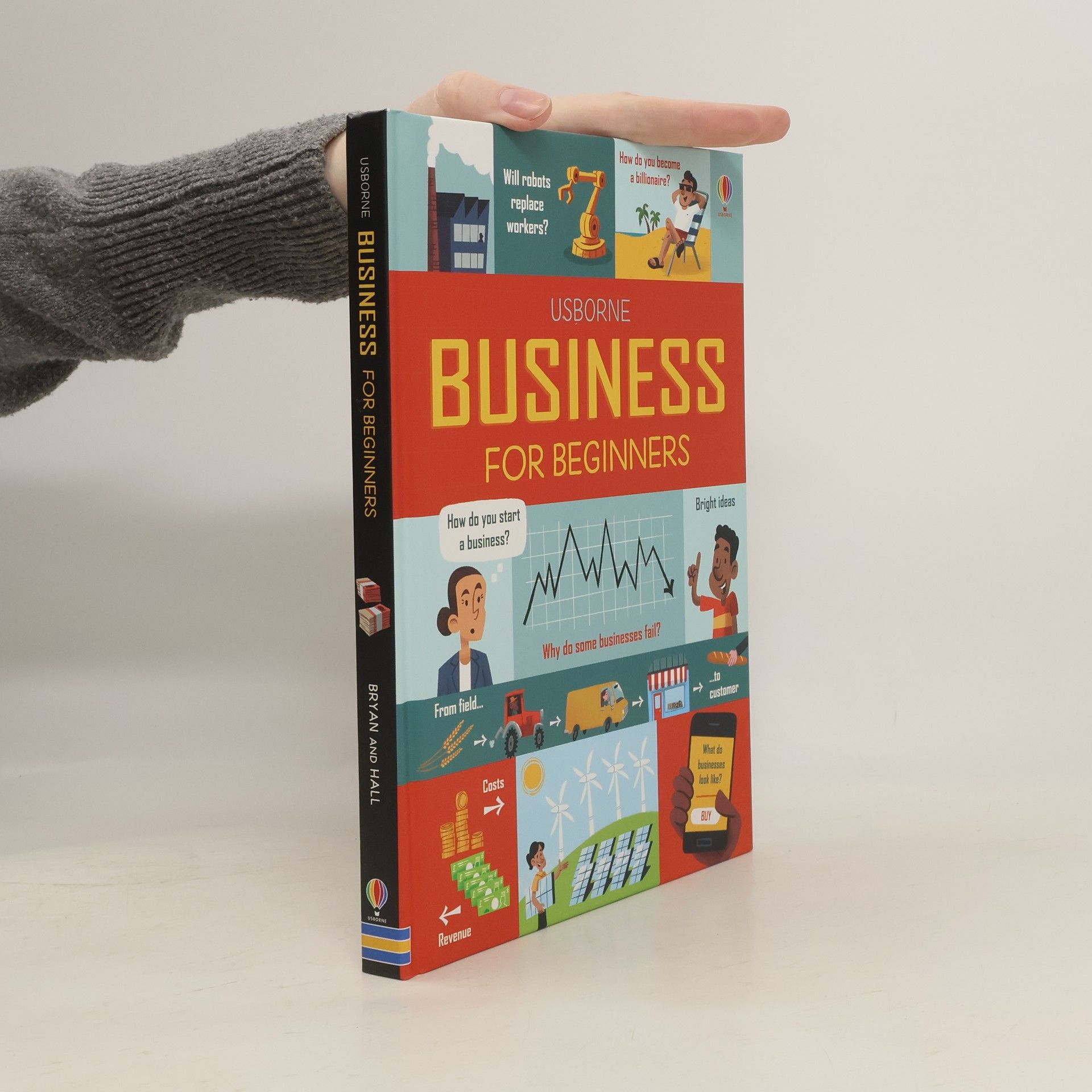 Lara Bryan Usborne business for beginners