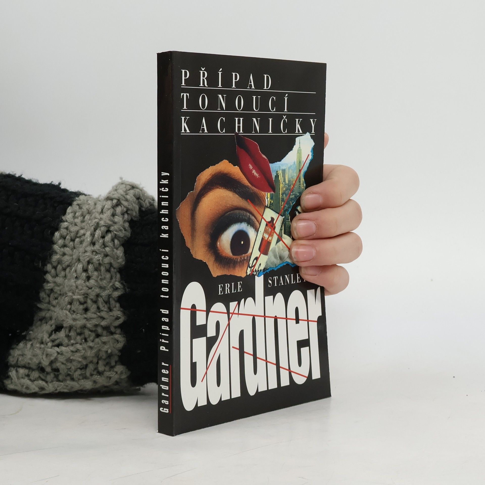 Erle Stanley Gardner Případ tonoucí kachničky