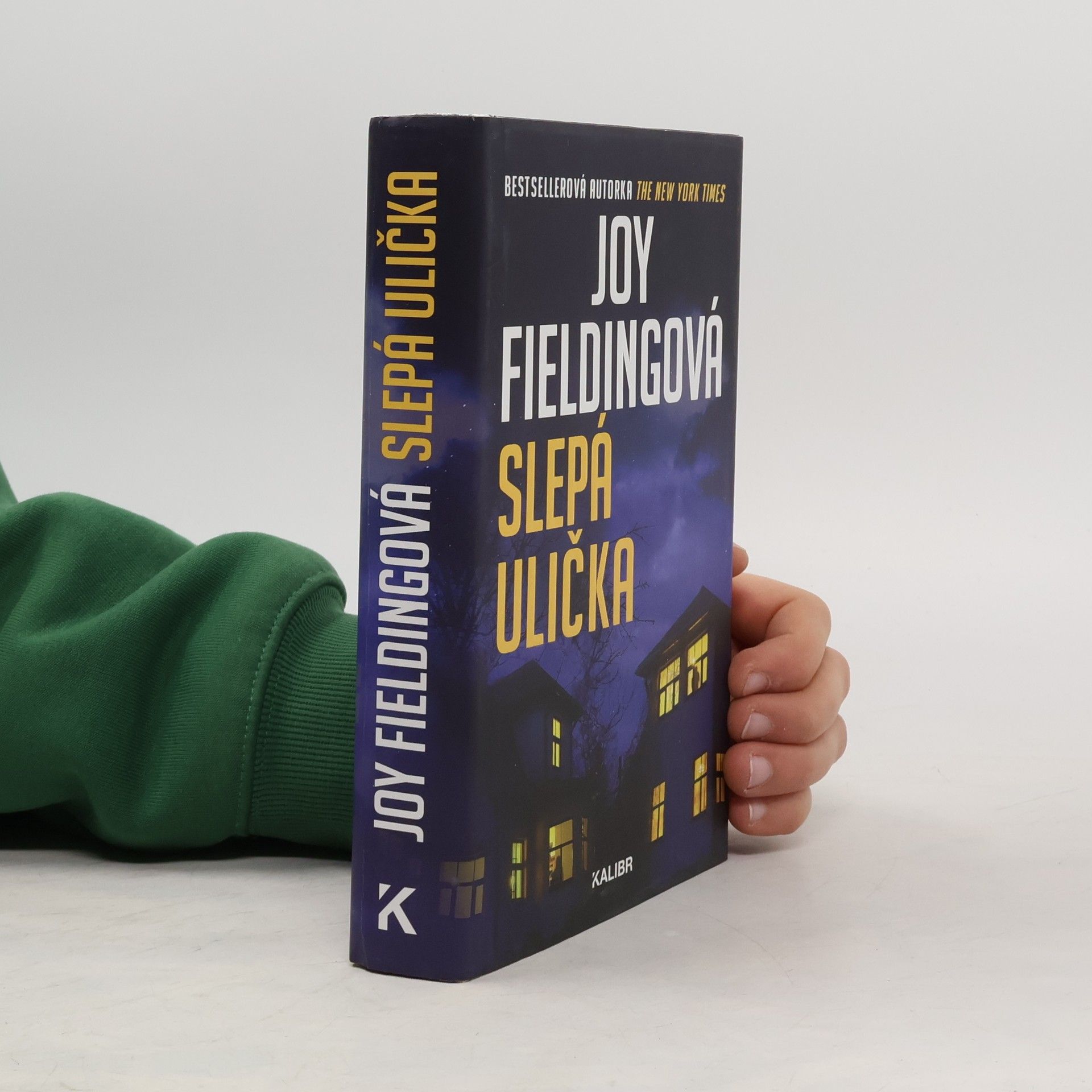 Joy Fielding Slepá ulička