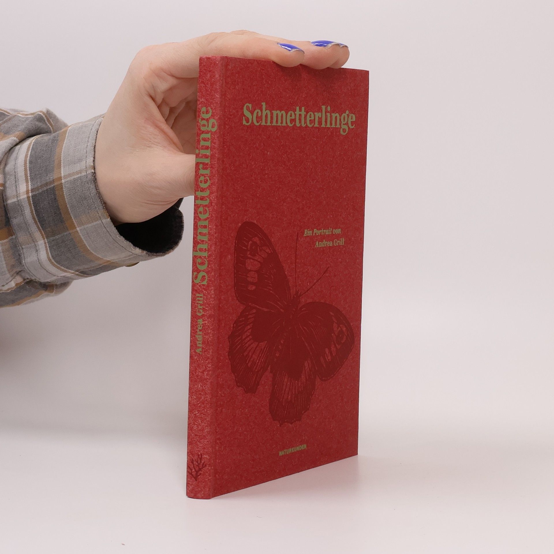 Andrea Grill Schmetterlinge