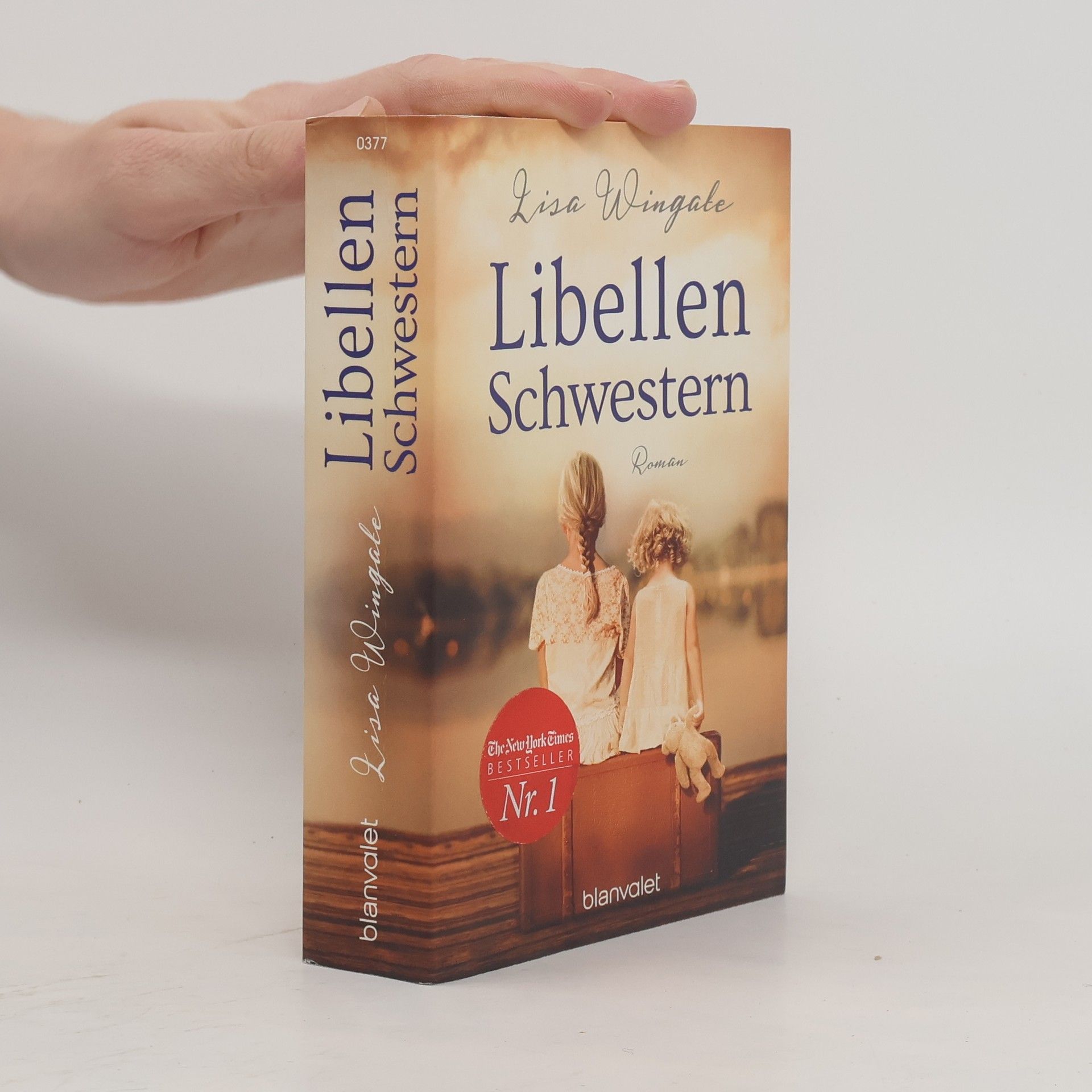 Lisa Wingate Libellenschwestern