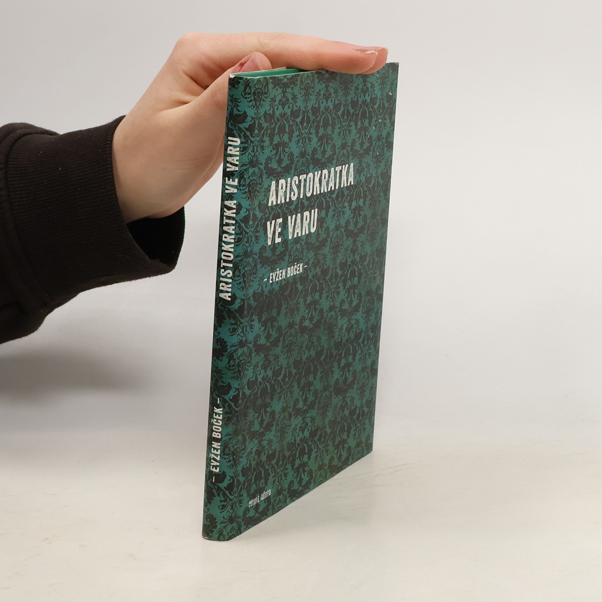 Evžen Boček Aristokratka ve varu