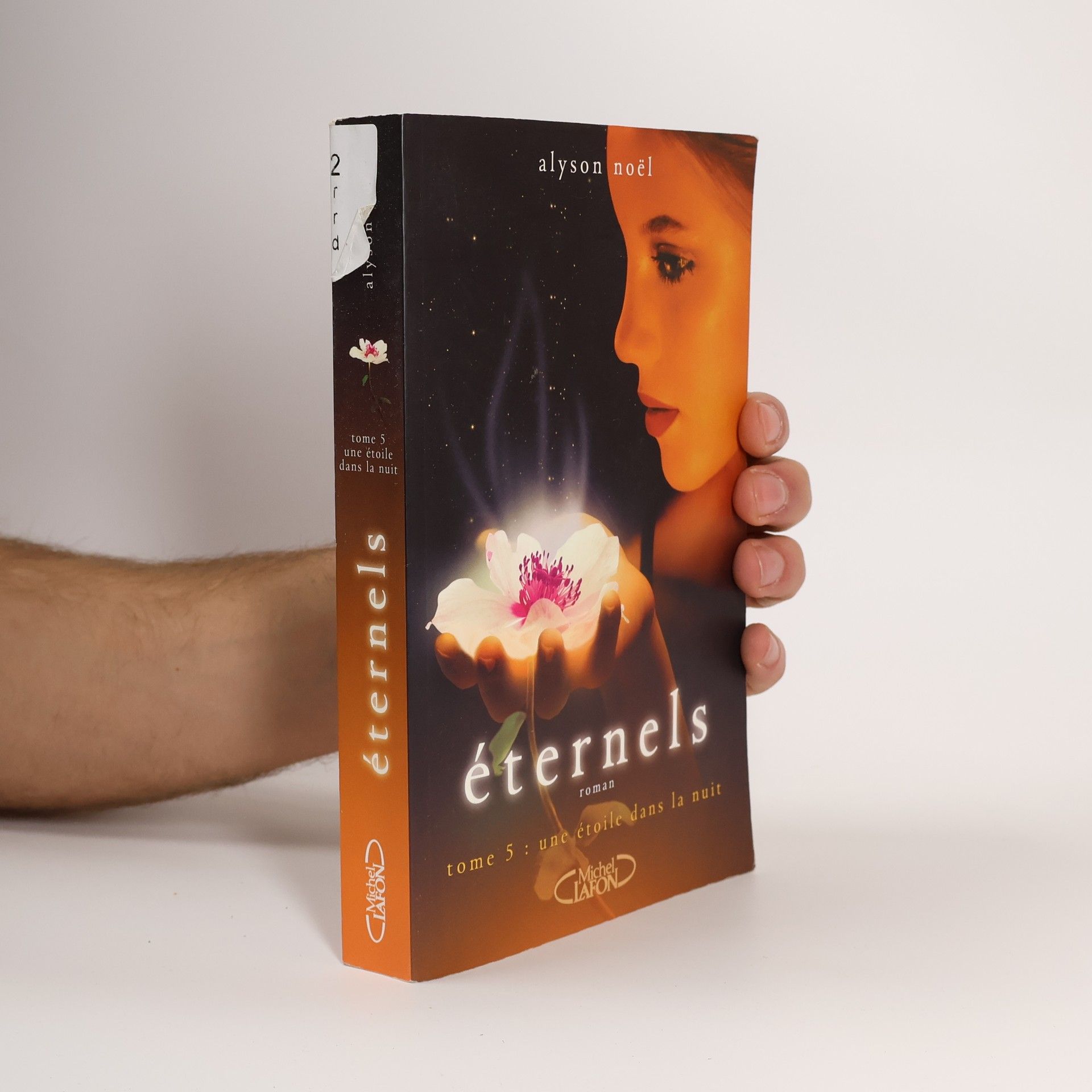 Alyson Noël Une étoile dans la nuit