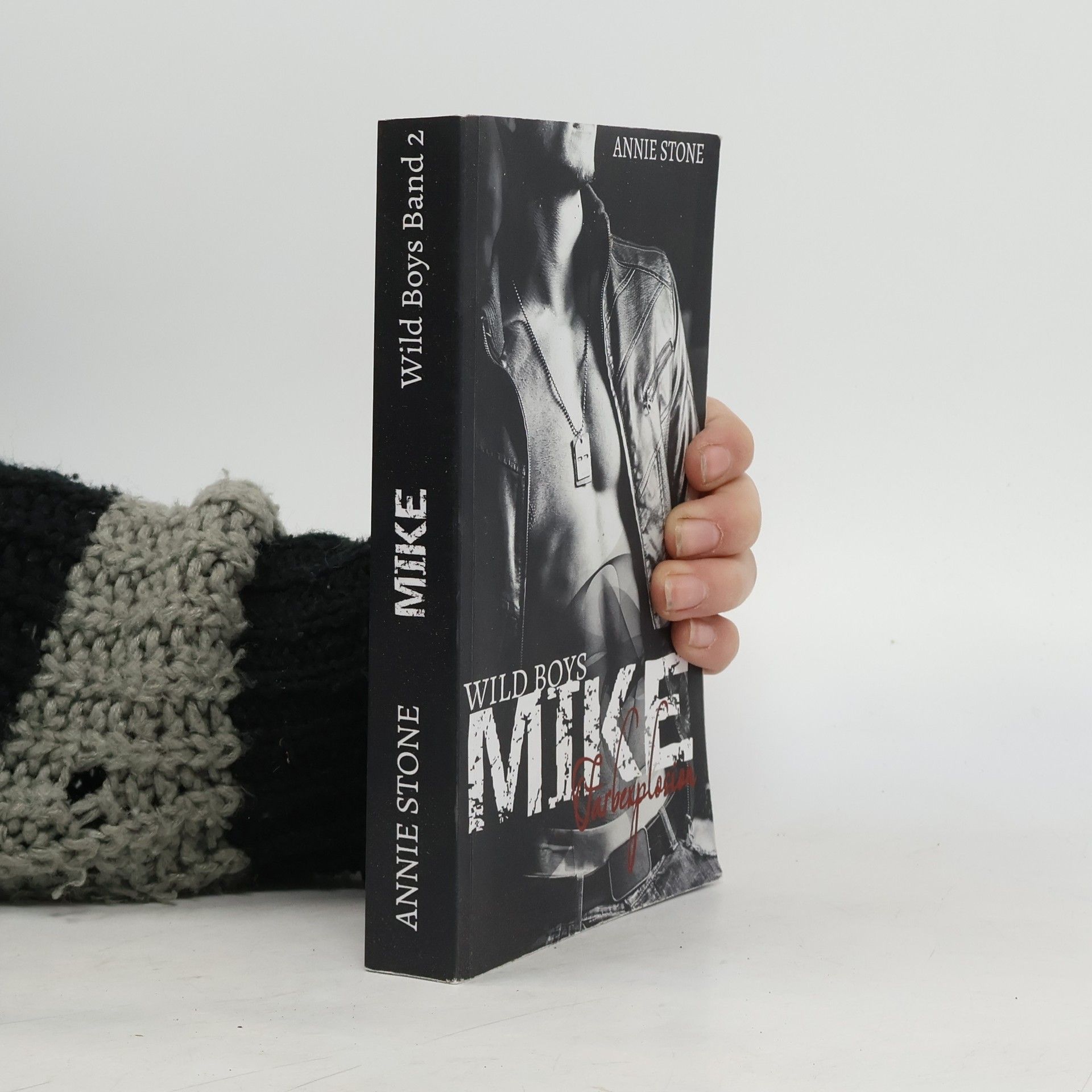 Annie Stone Wild Boys - 2: Mike - Farbexplosion