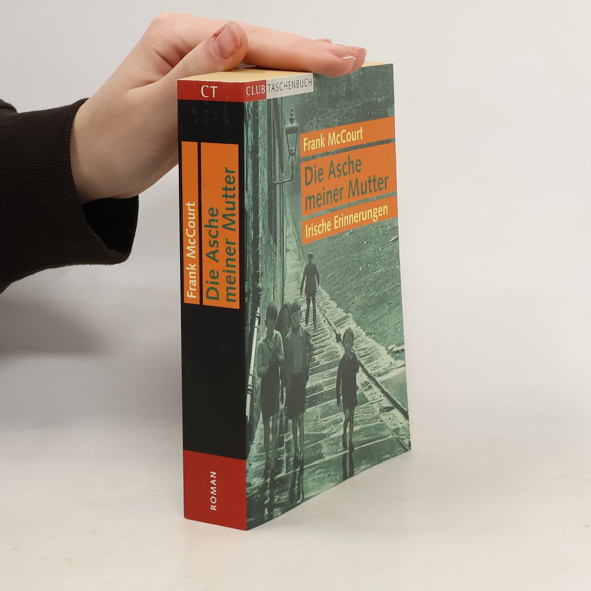 Frank McCourt Die Asche meiner Mutter