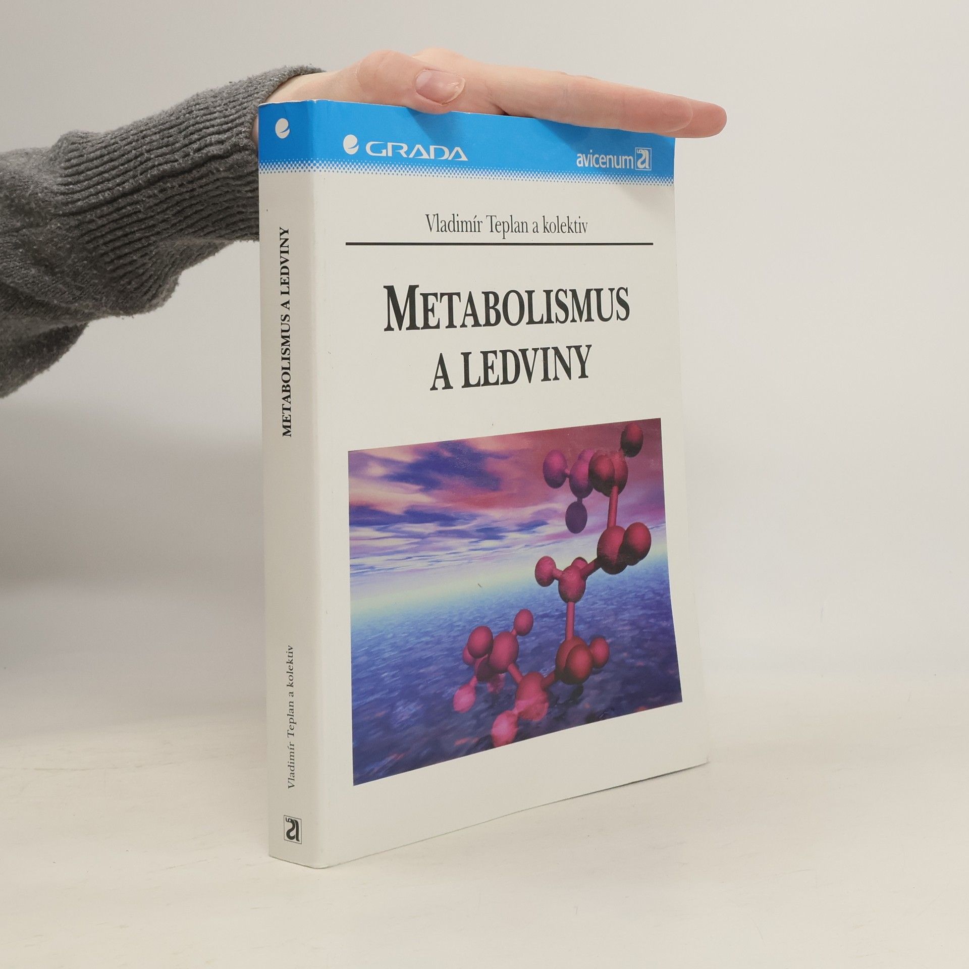 Vladimír Teplan Metabolismus a ledviny