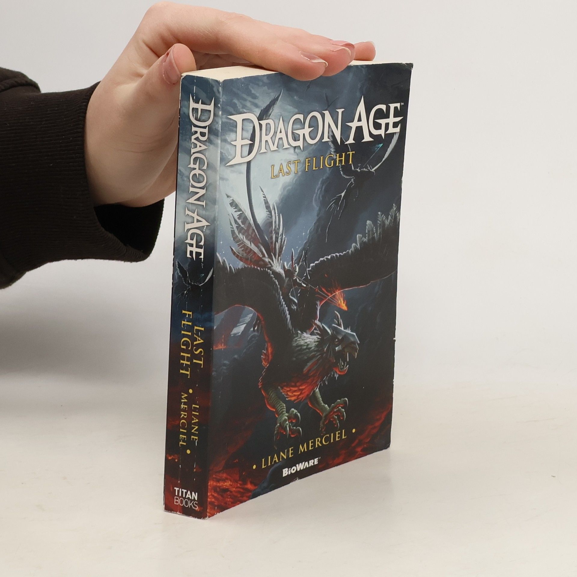 Liane Merciel Last Flight