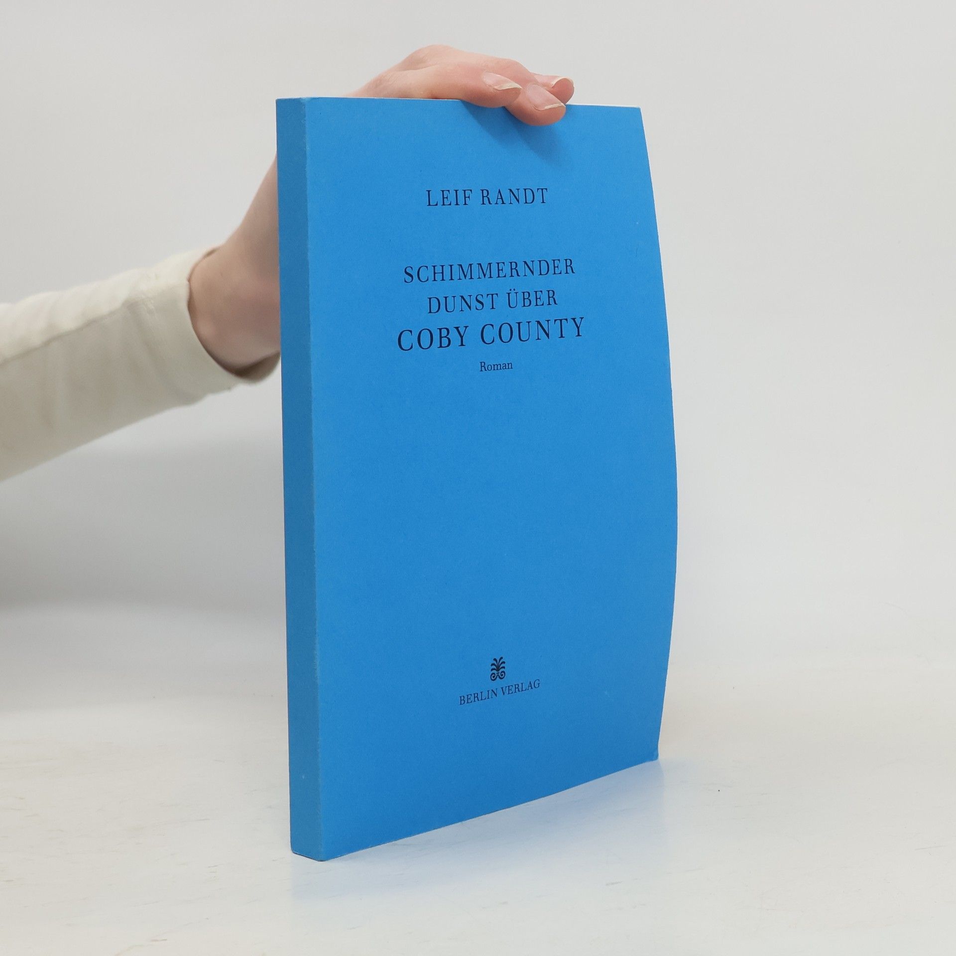 Leif Randt Schimmernder Dunst über Coby County