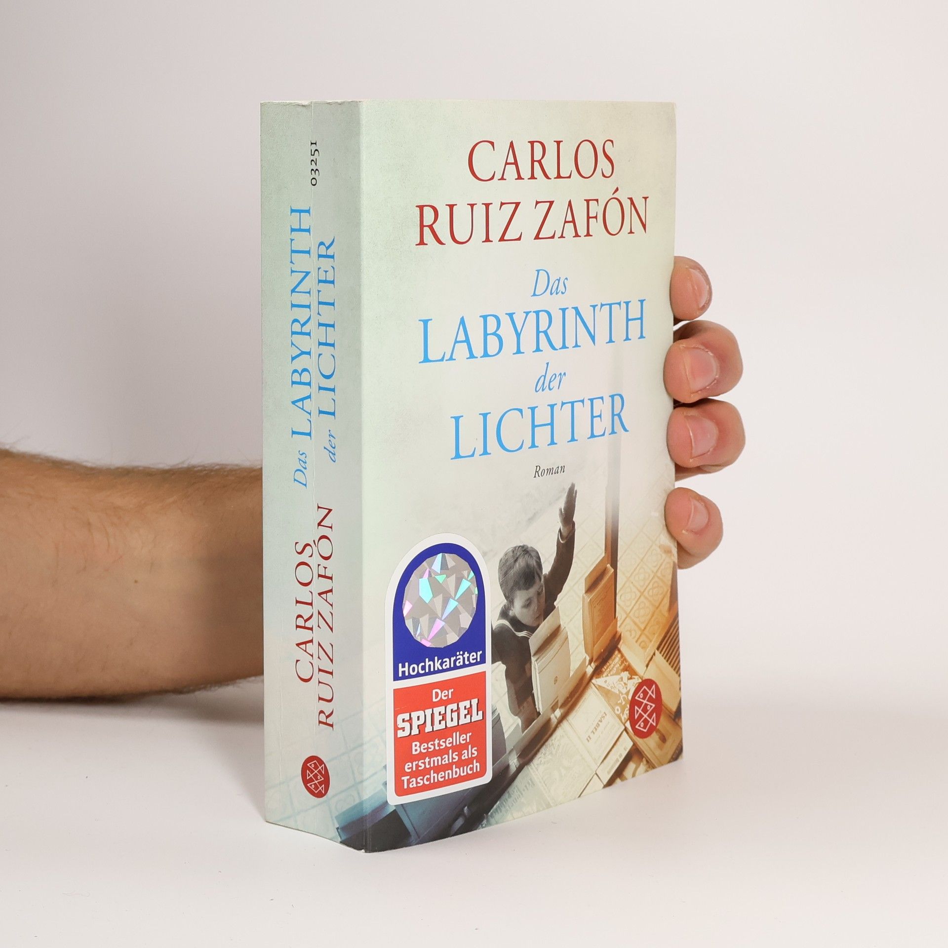 Carlos Ruiz Zafón Das Labyrinth der Lichter