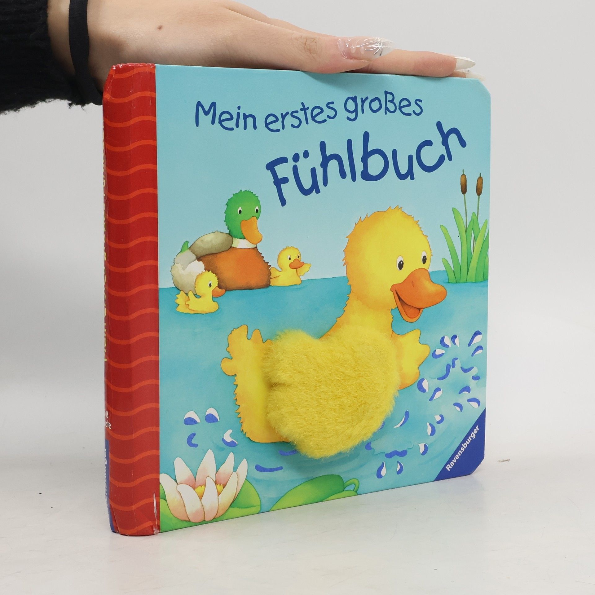 Monika Neubacher Fesser Mein erstes großes Fühlbuch